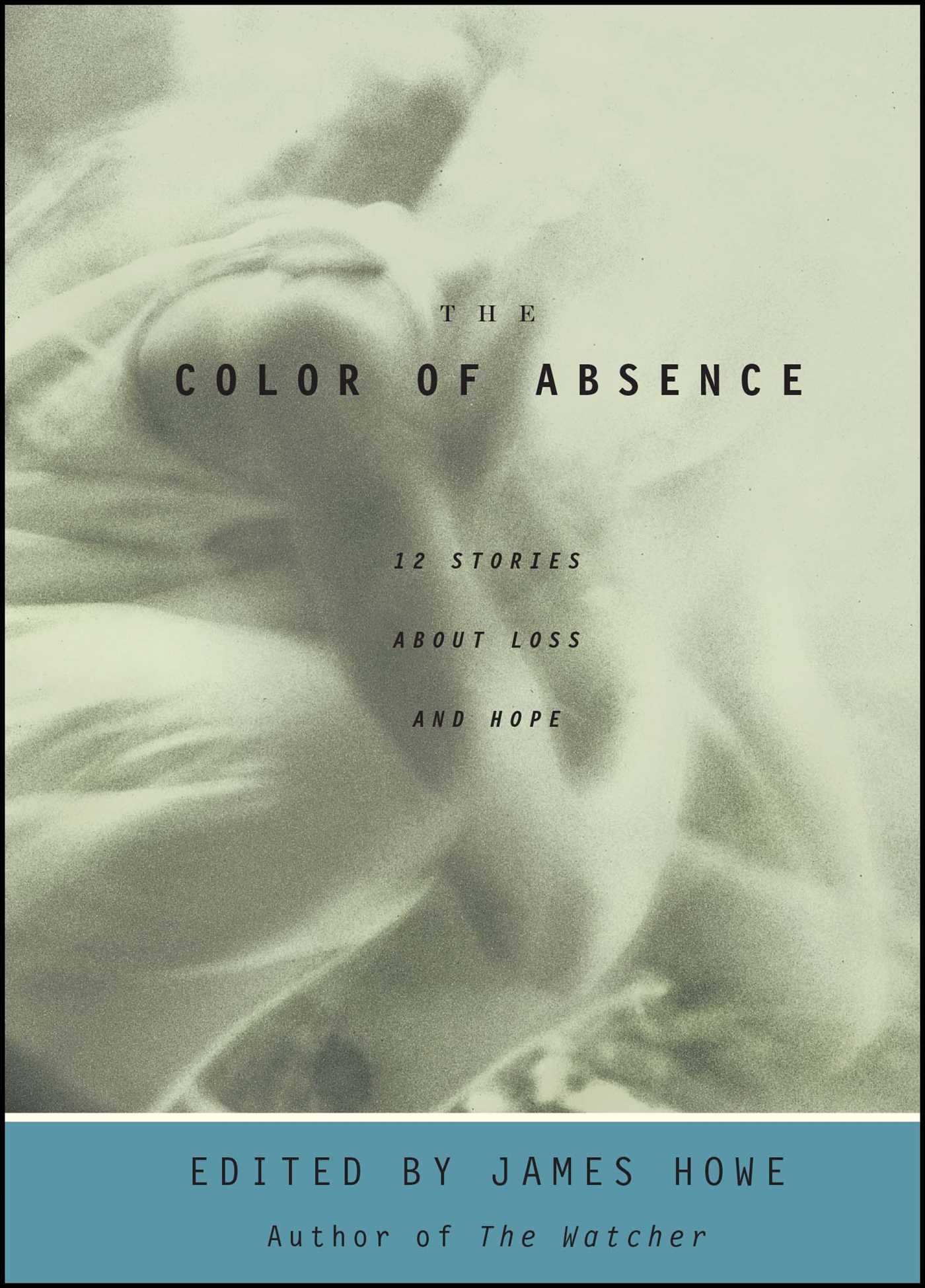 Color of Absence: 12 Stories About Loss and Hope