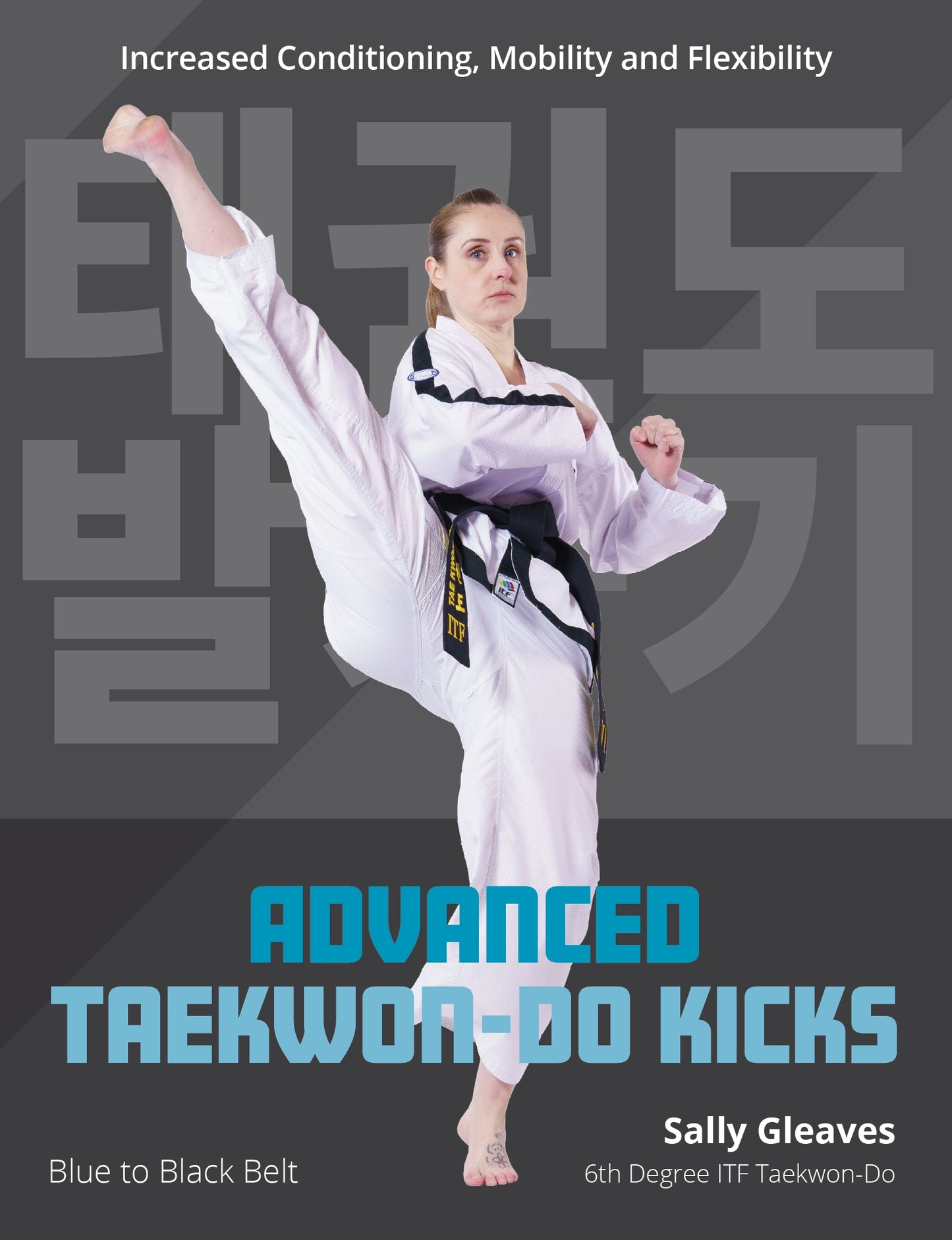 Advanced Taekwon-Do Kicks Vol 2