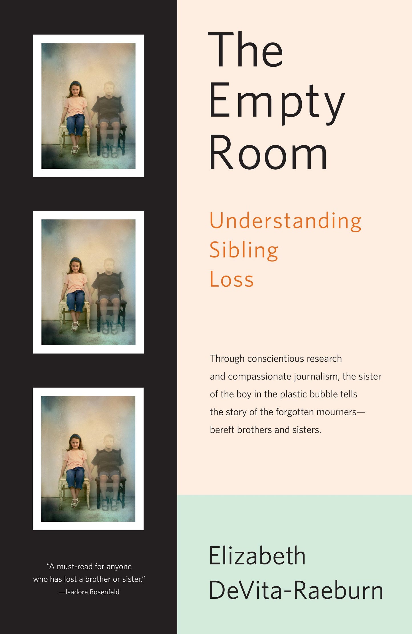 Empty Room: Understanding Sibling Loss