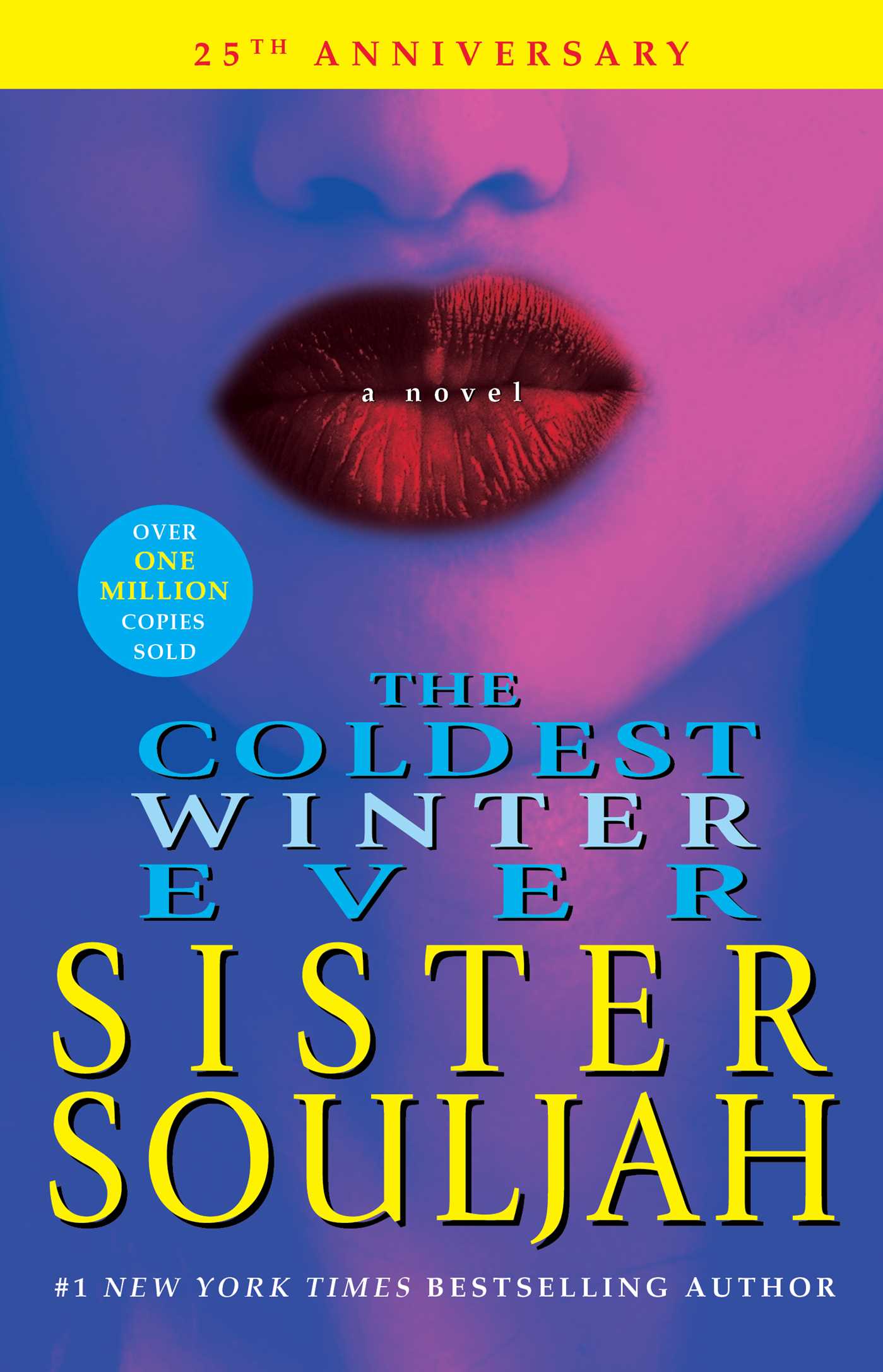 Coldest Winter Ever: A Novel