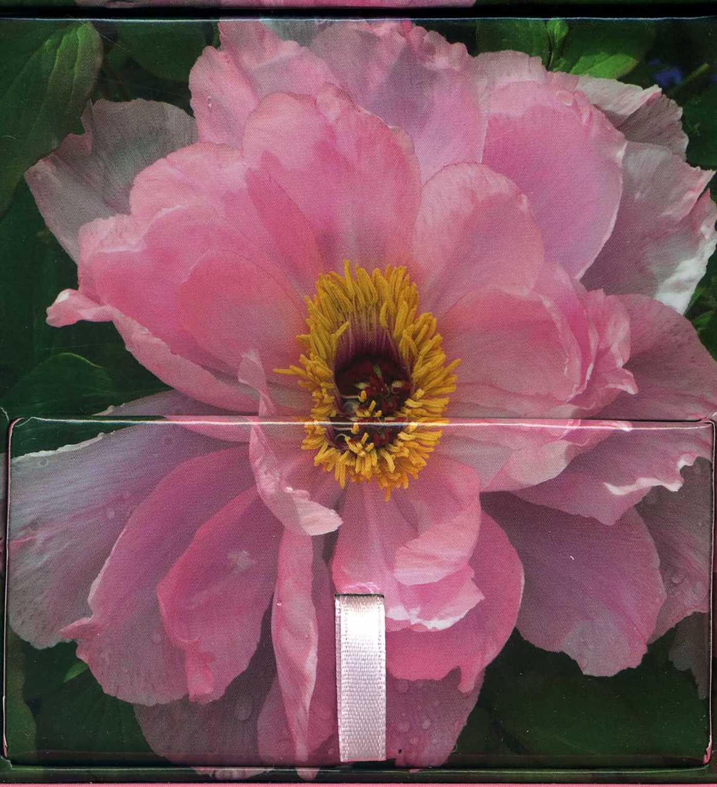 Peony