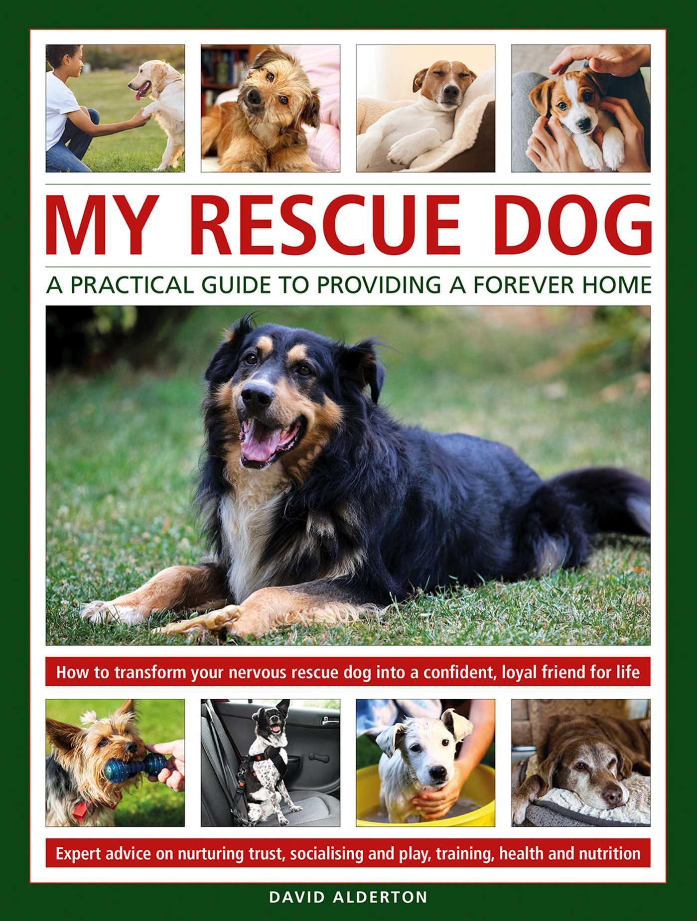 My Rescue Dog
