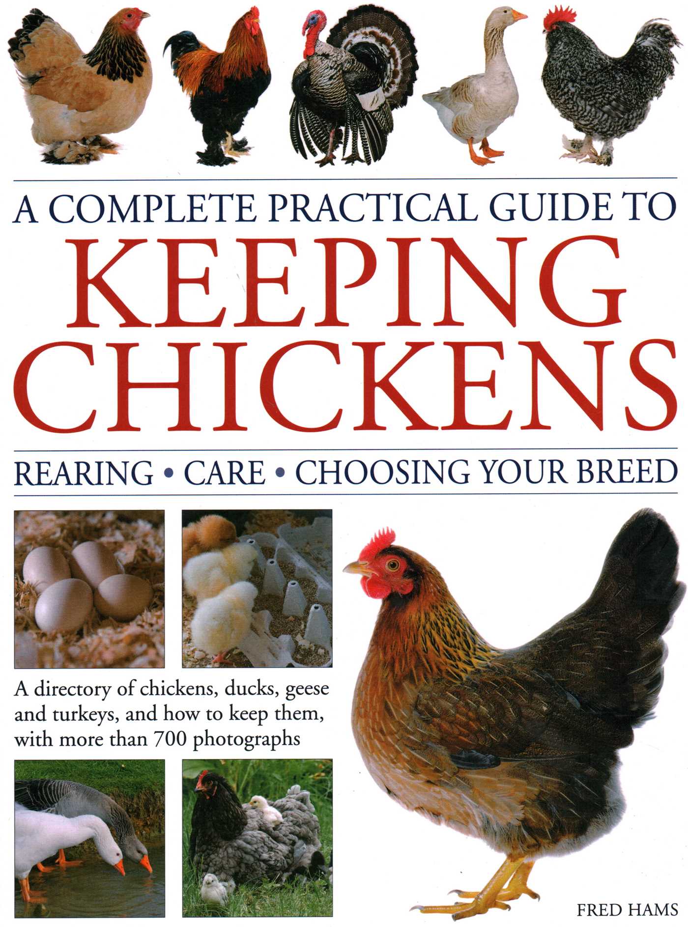 Complete Practical Guide to Keeping Chickens: A Directory of Chickens, Ducks, Geese and Turkeys, and How to Keep Them, with mMre than 700 Photographs