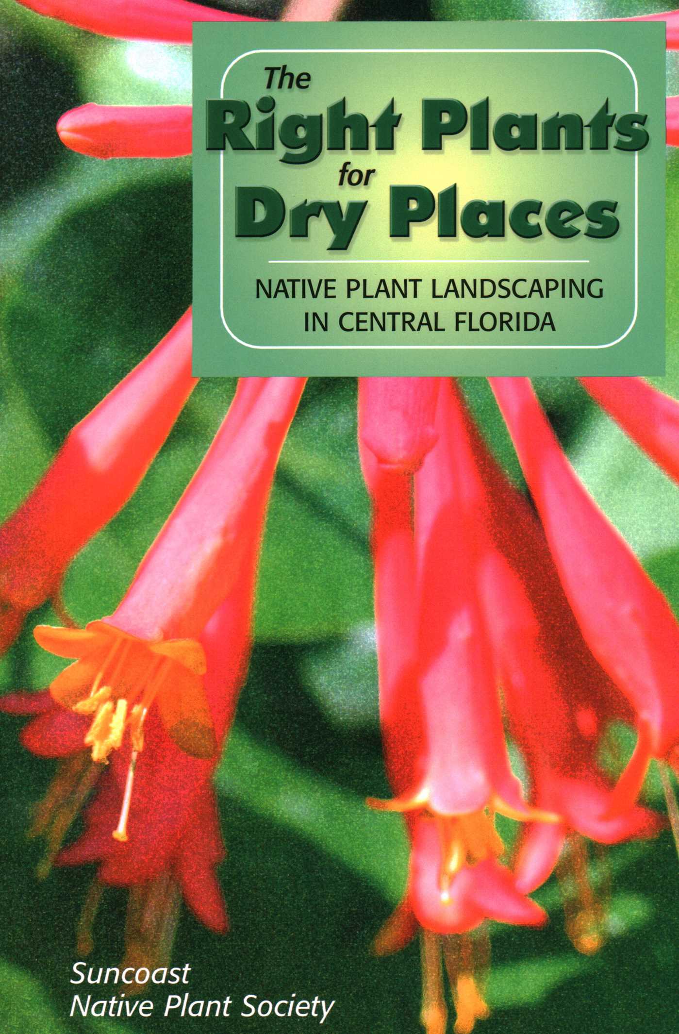 Right Plants for Dry Places