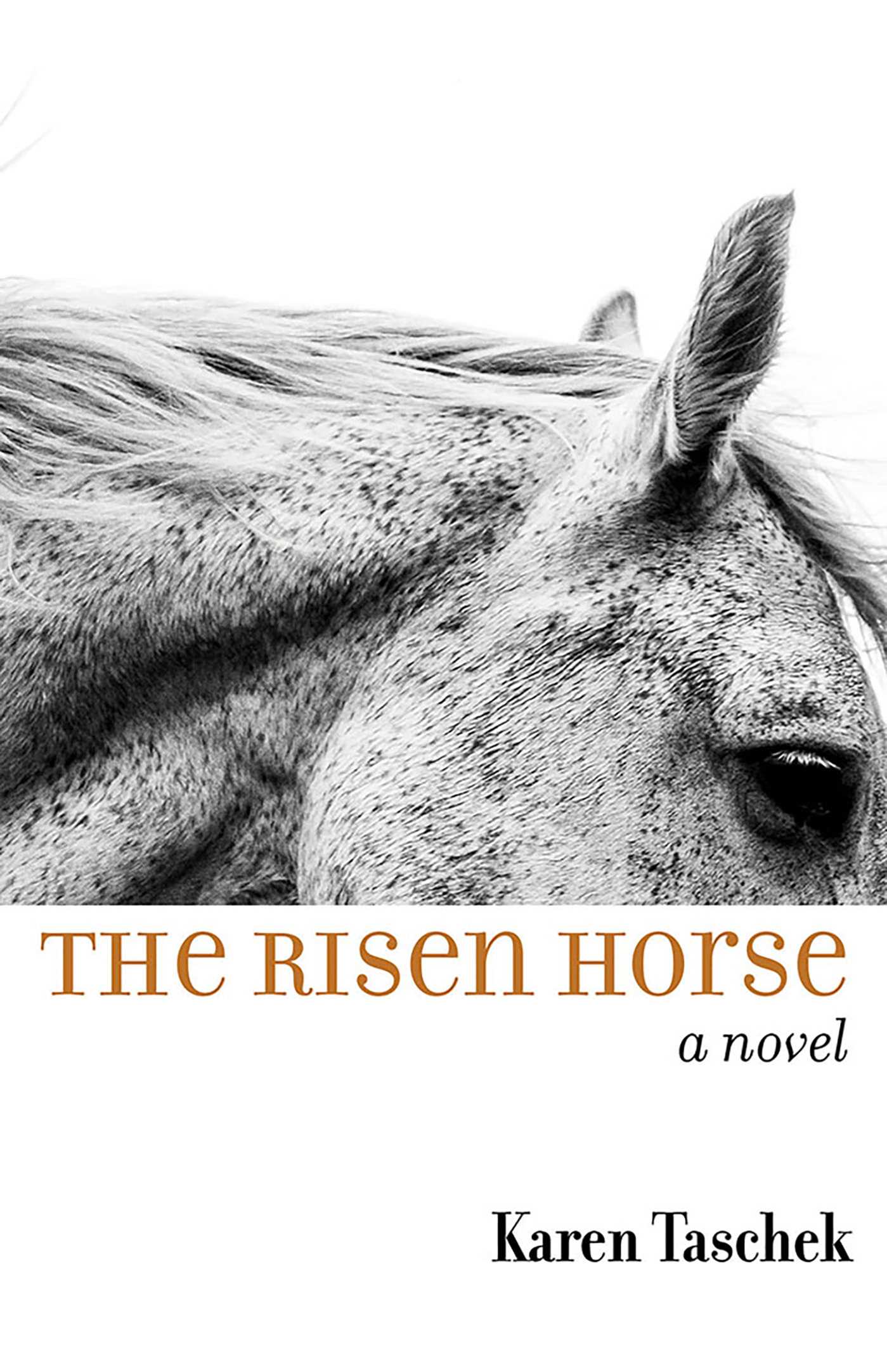 Risen Horse