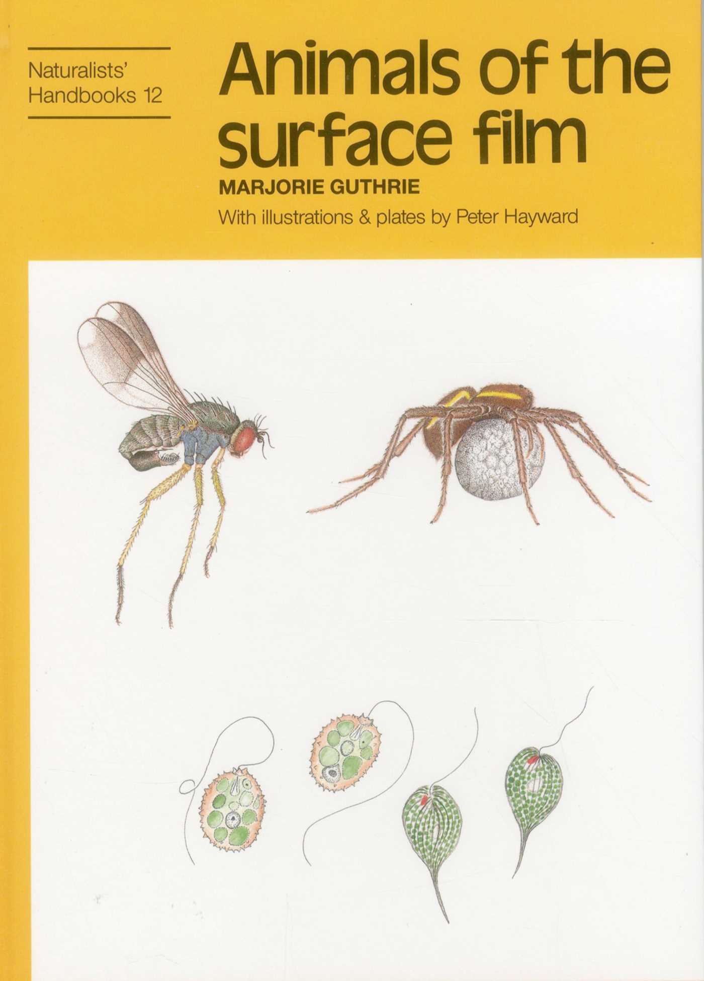 Animals of the Surface Film