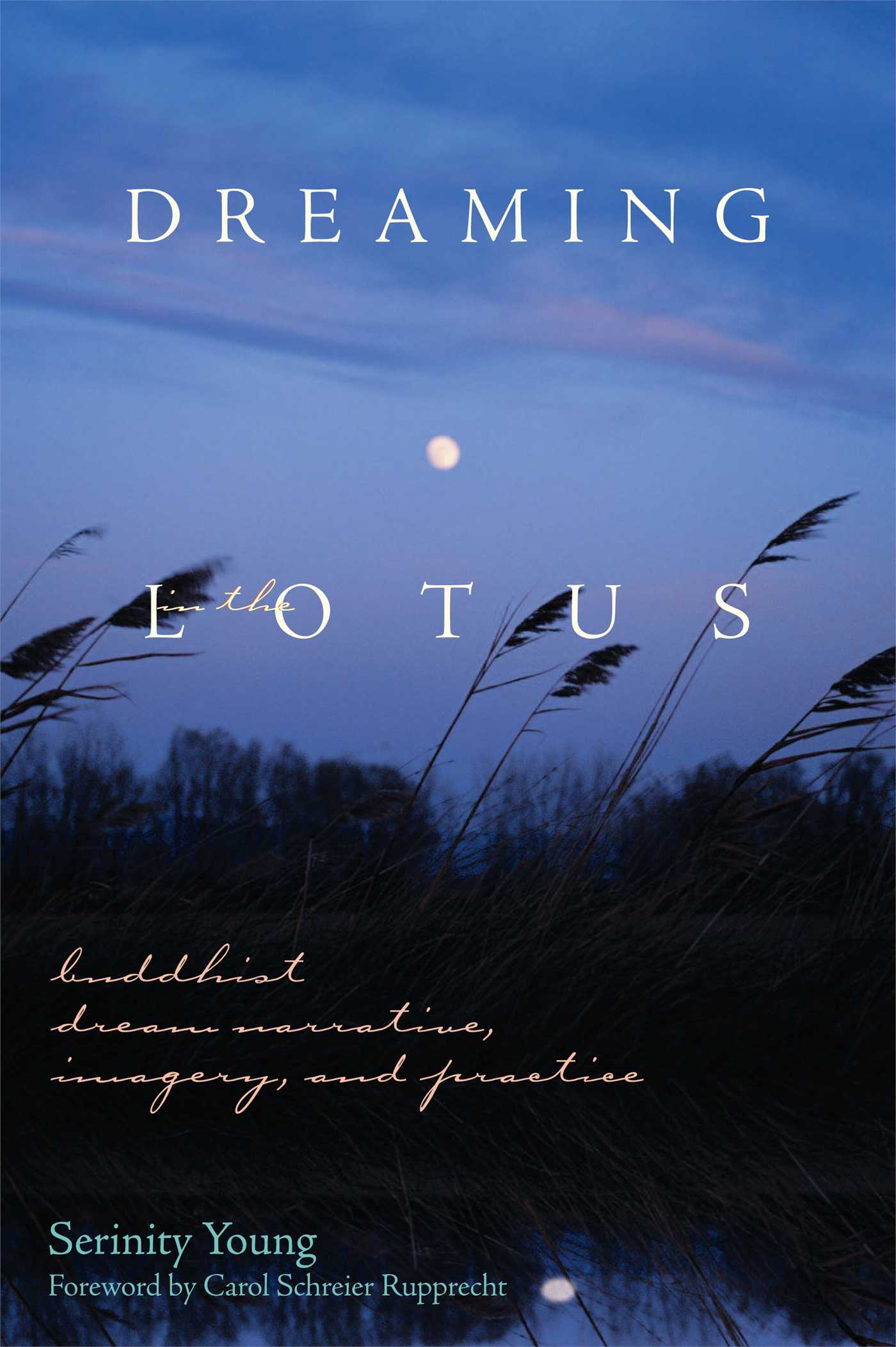 Dreaming in the Lotus