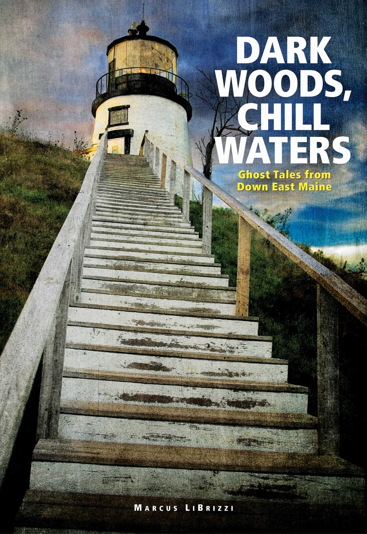 Dark Woods, Chill Waters