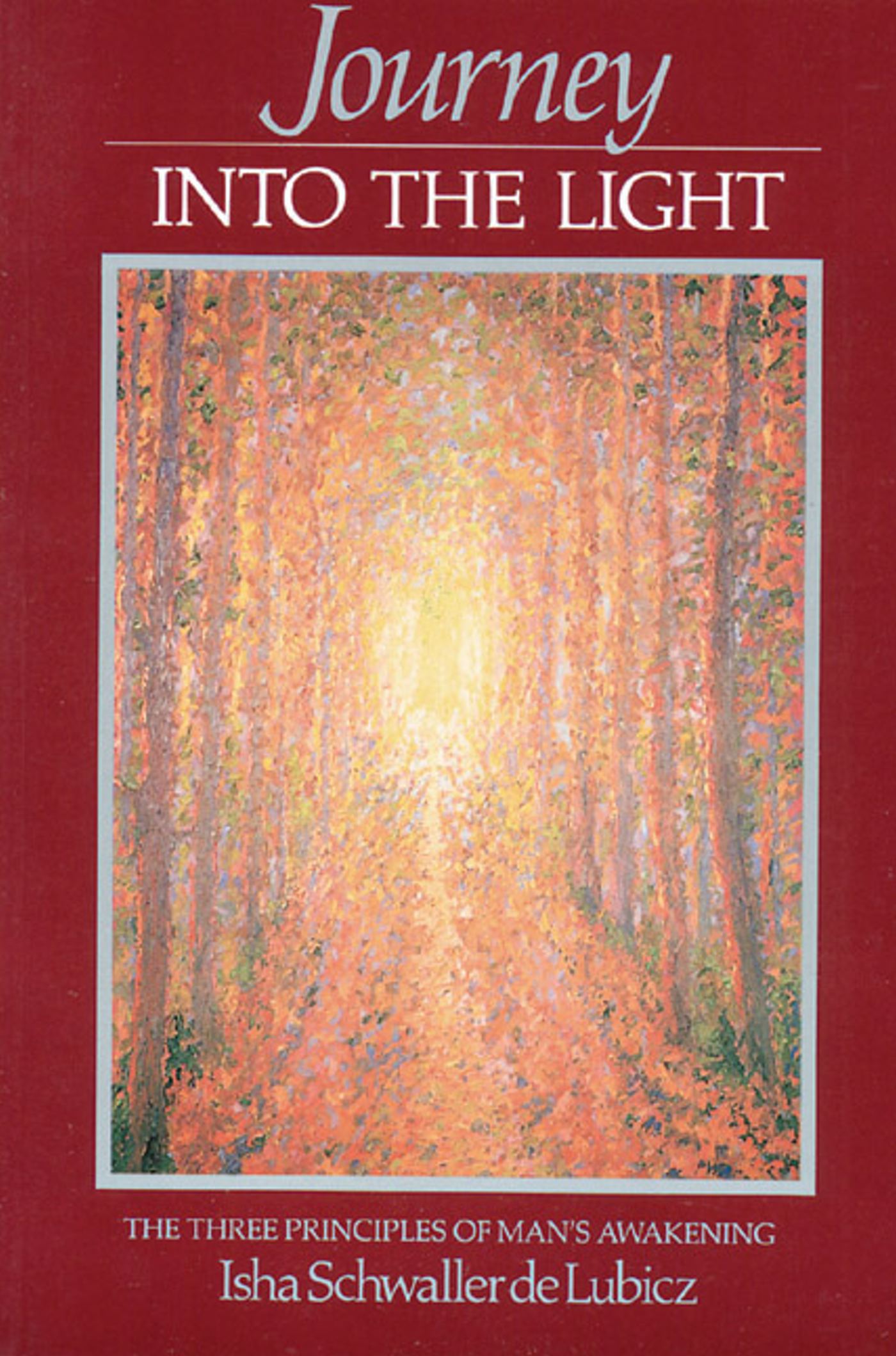 Journey into the Light