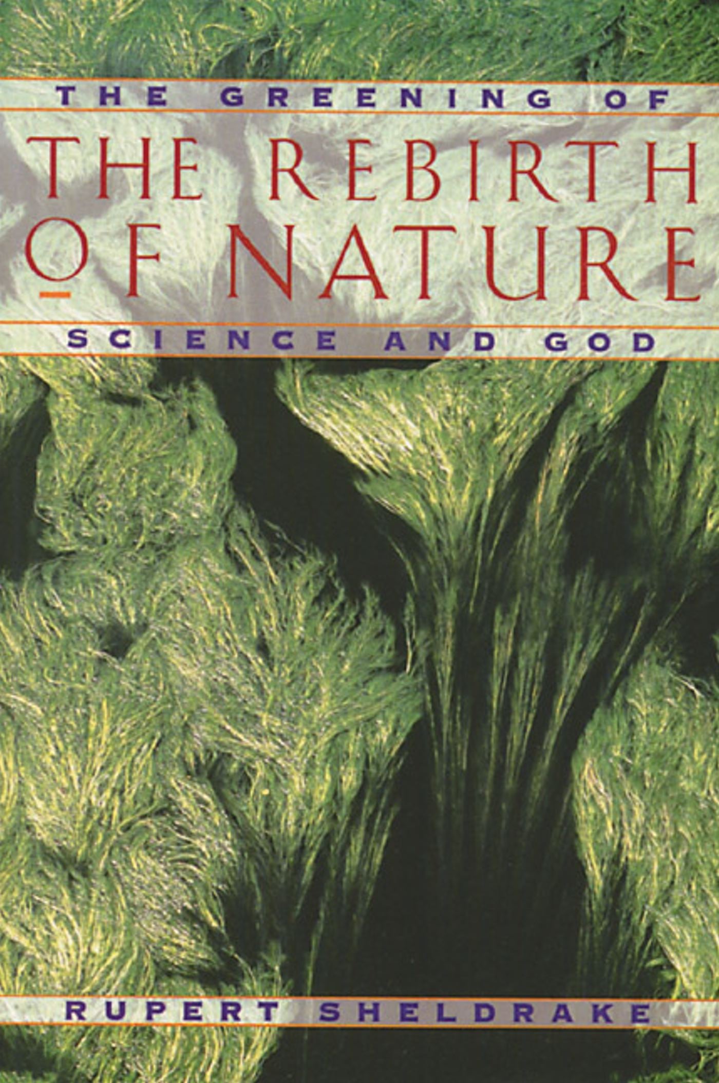 Rebirth of Nature: The Greening of Science and God
