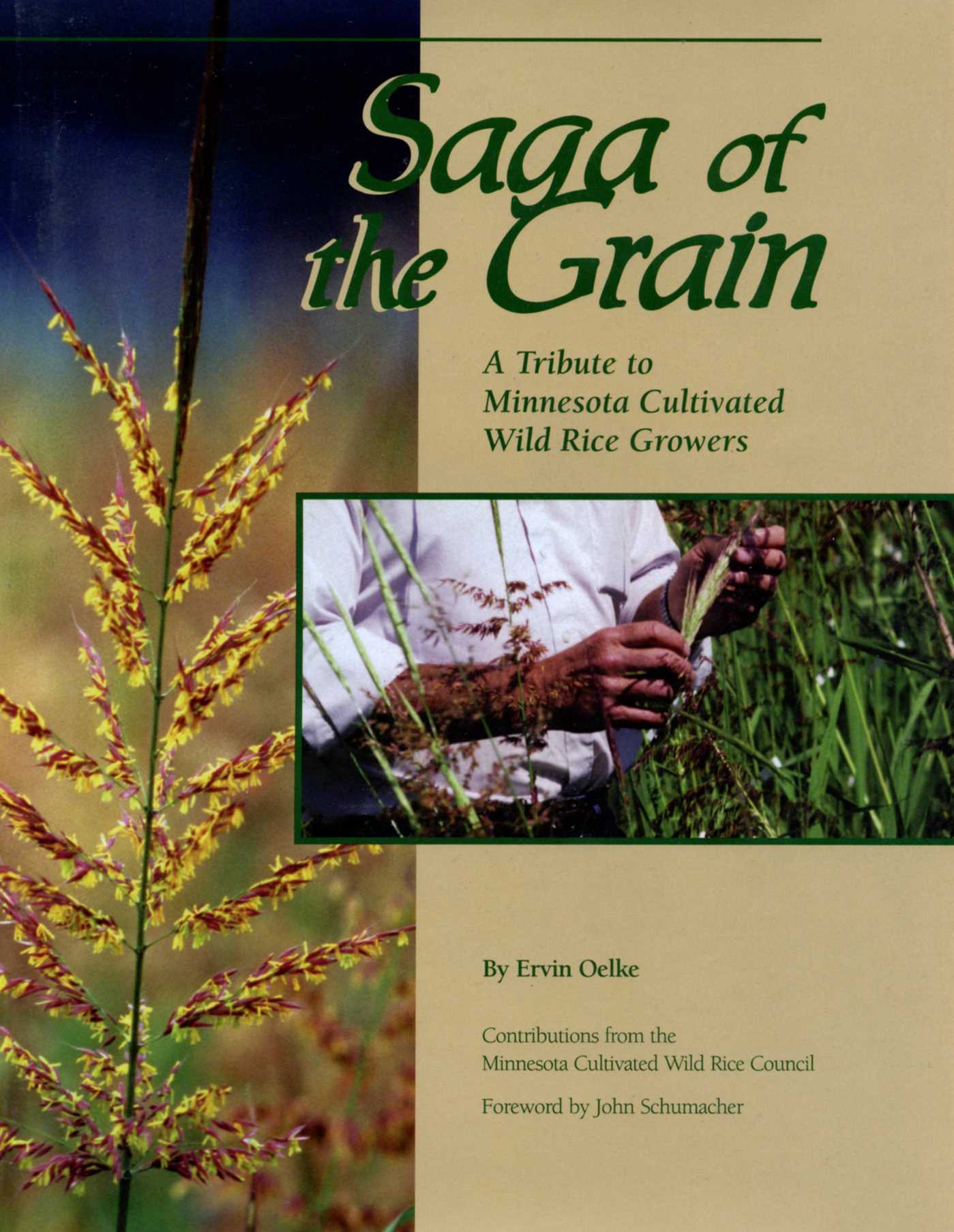 Saga of The Grain