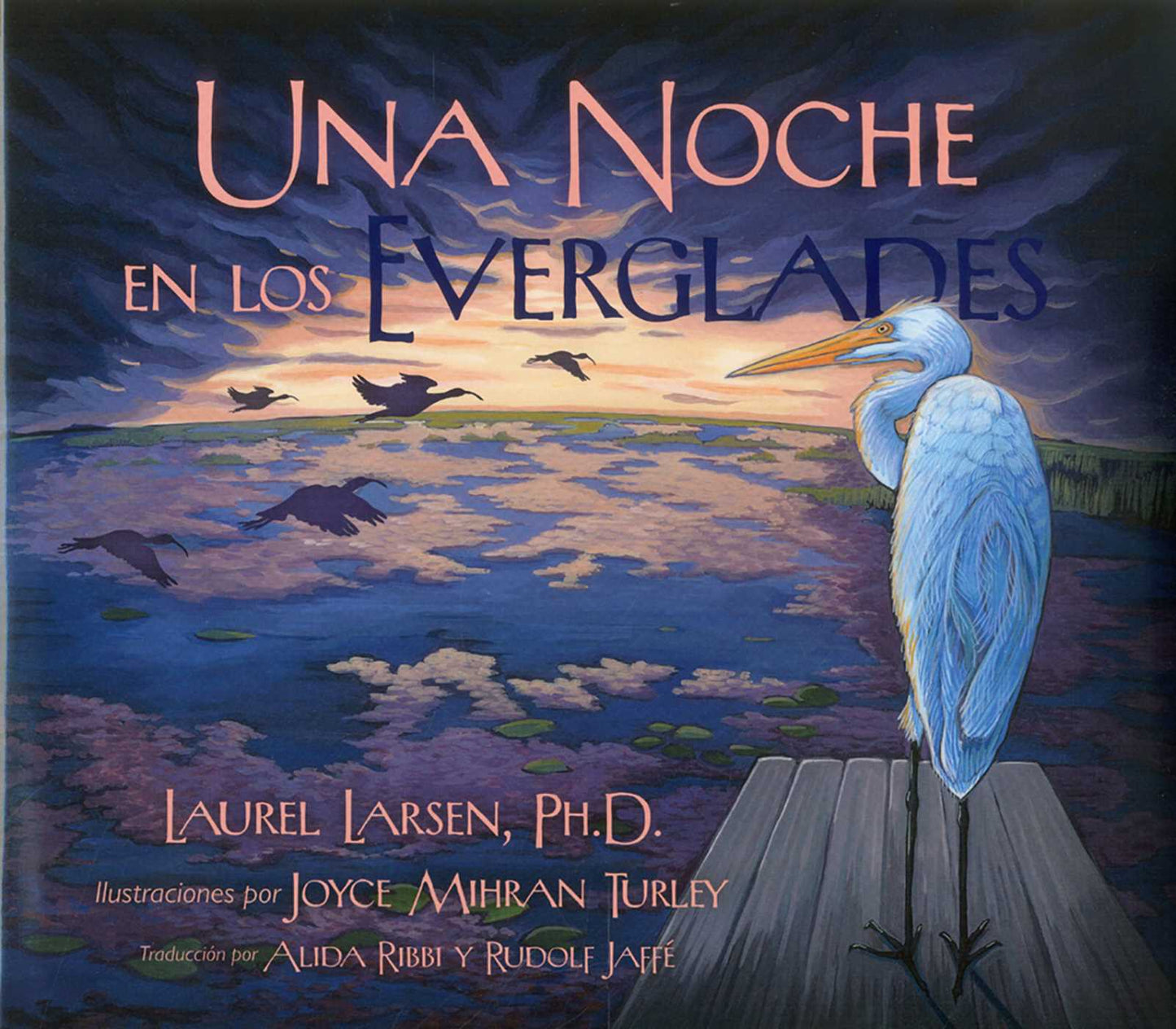 Noche en los Everglades