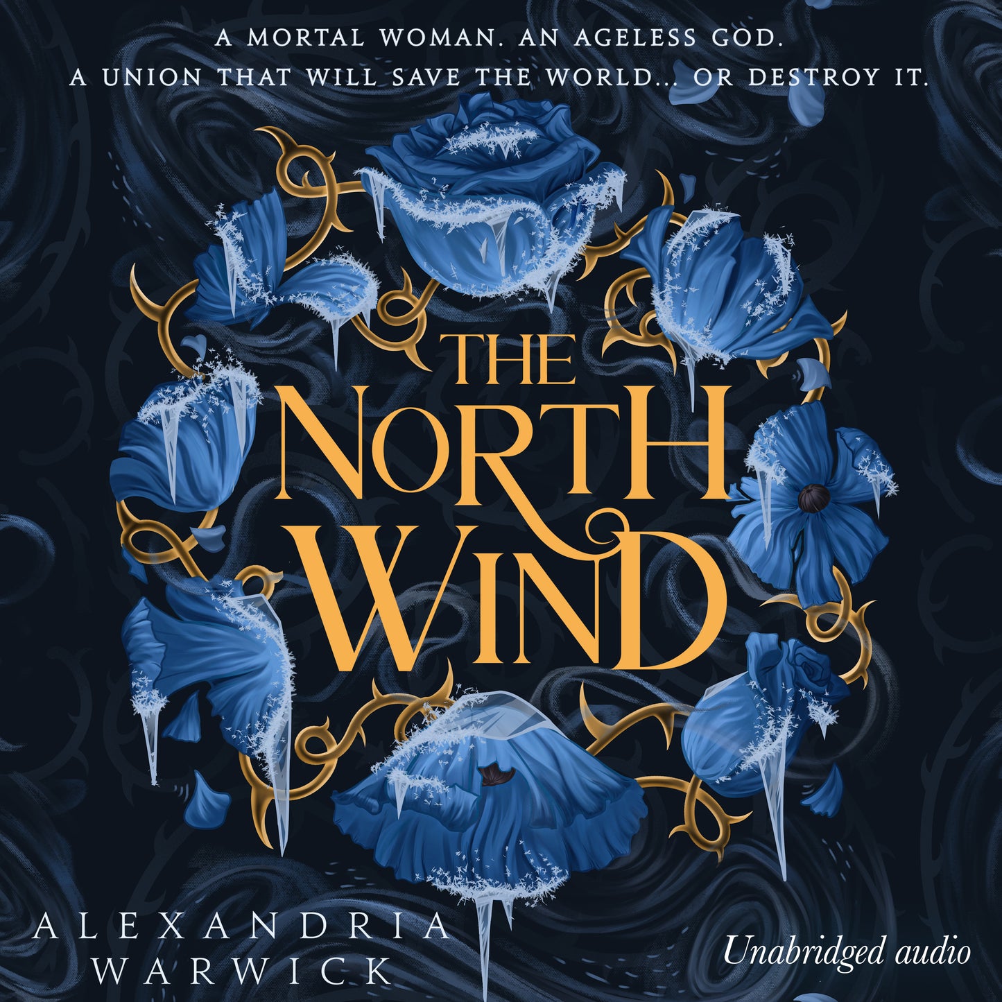 North Wind: The TikTok sensation! An enthralling enemies-to-lovers romantasy, the first in the Four Winds series