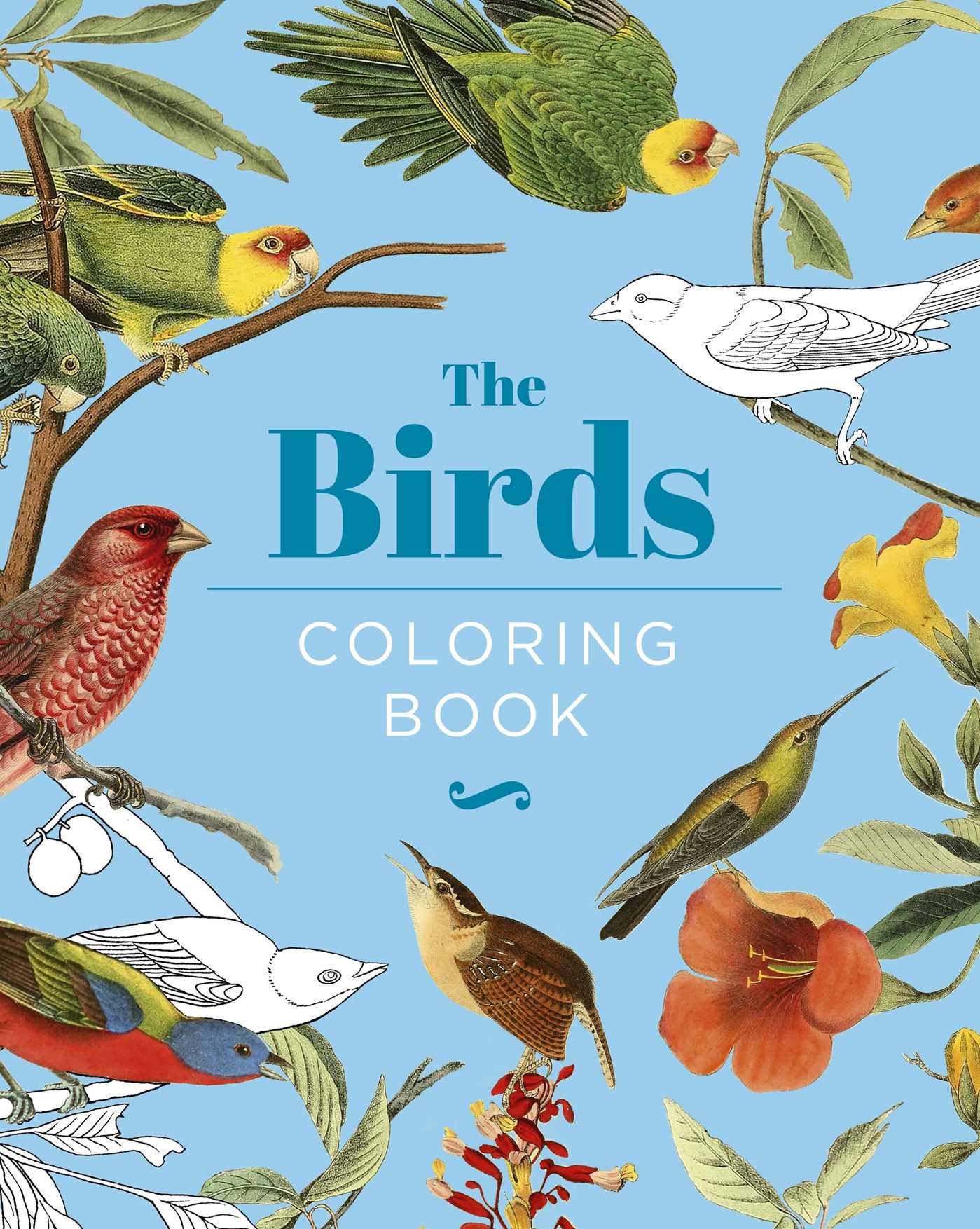 Birds Coloring Book: Hardback Gift Edition