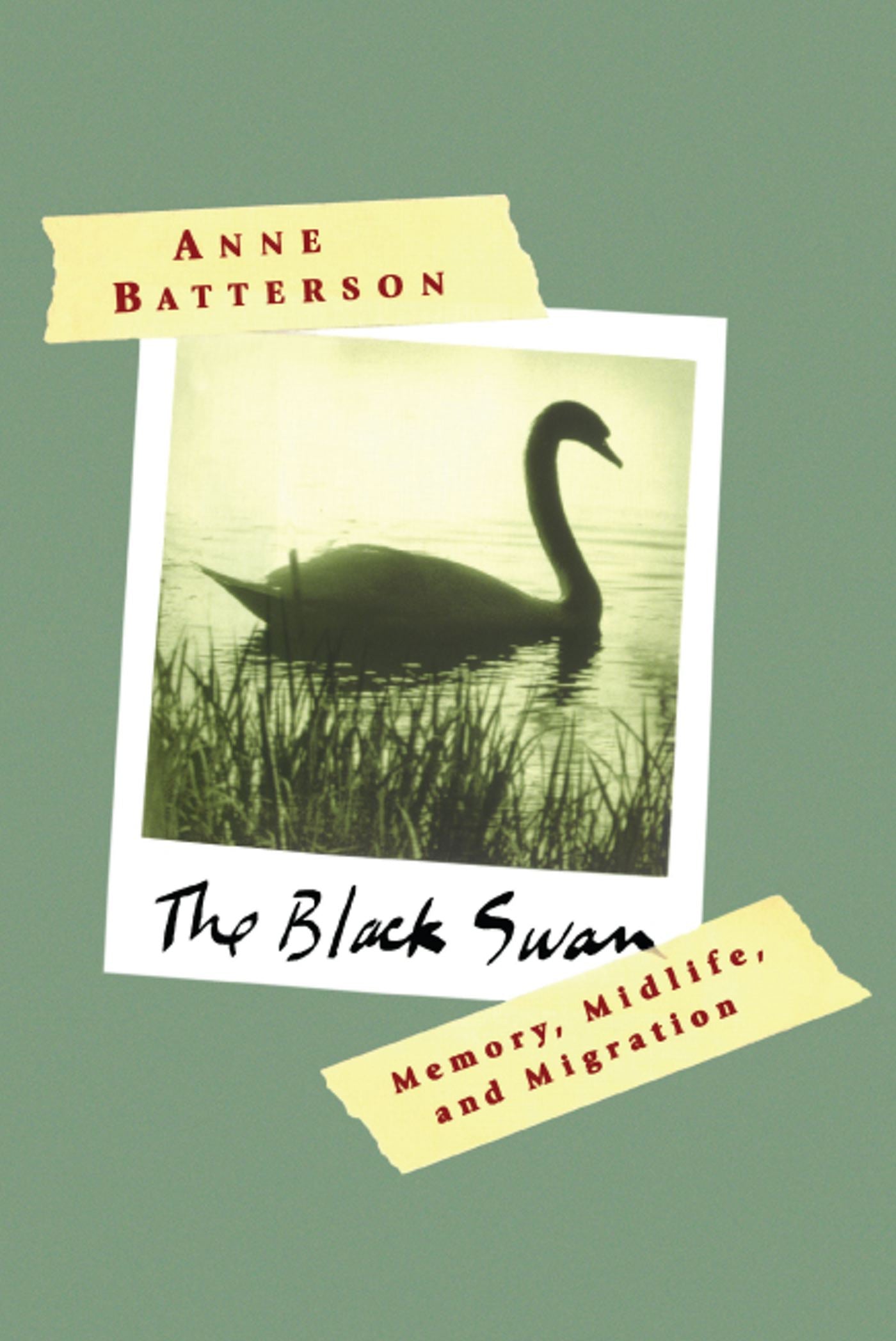 Black Swan: Memory, Midlife, and Migration