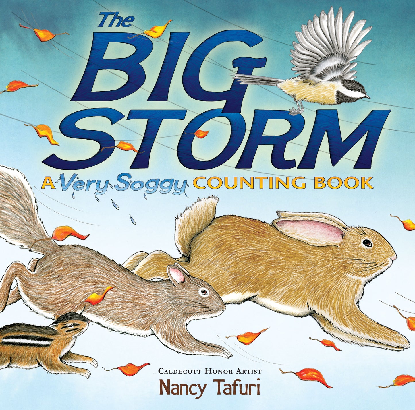 Big Storm: A Very Soggy Counting Book