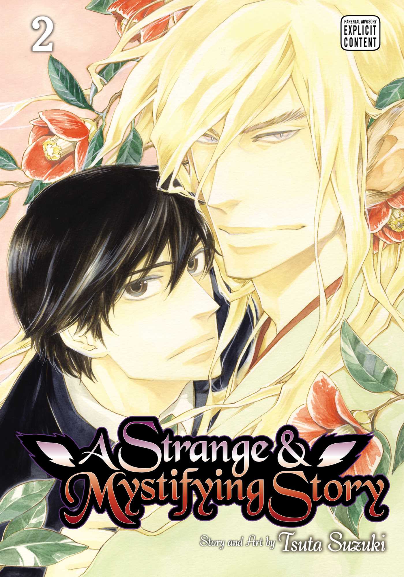 Strange & Mystifying Story, Vol. 2