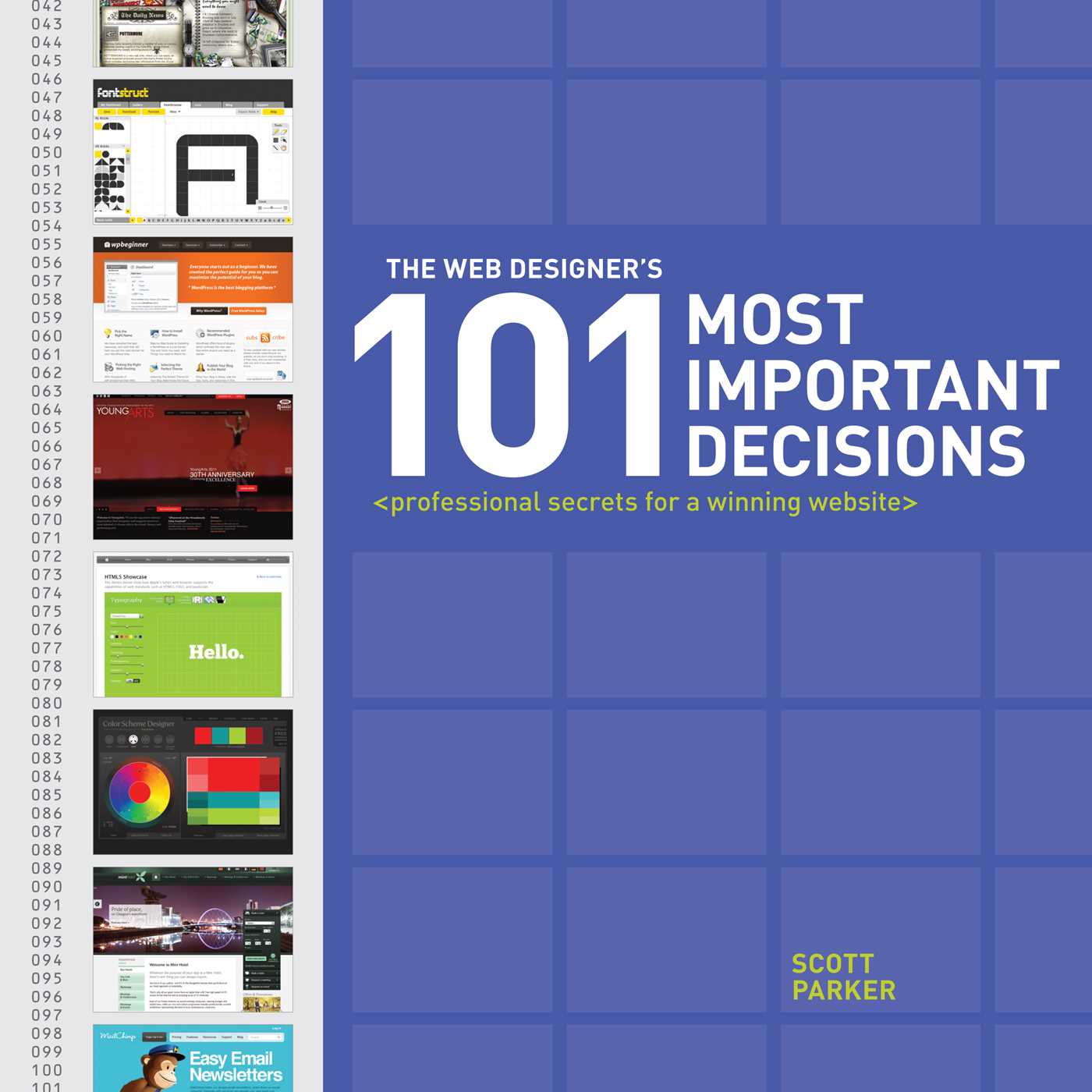 Web Designer's 101 Most Important Decisions: Professional Secrets for a Winning Website