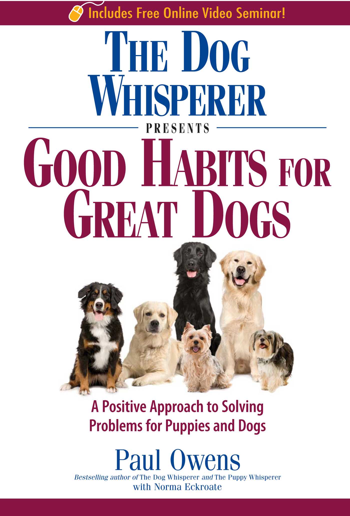 Dog Whisperer Presents - Good Habits for Great Dogs: A Positive Approach to Solving Problems for Puppies and Dogs