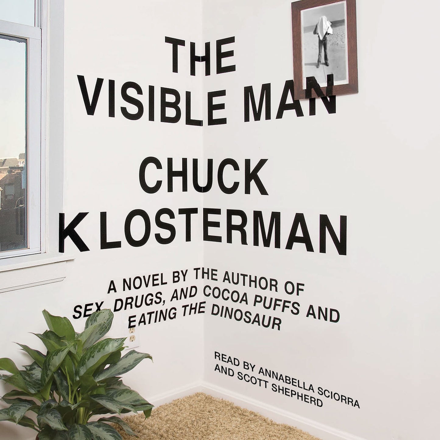 Visible Man: A Novel