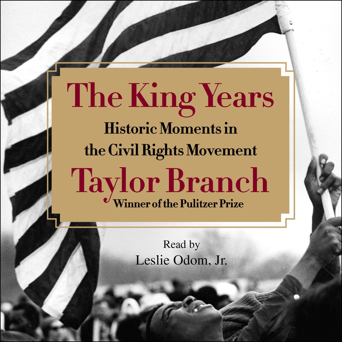King Years: Historic Moments in the Civil Rights Movement