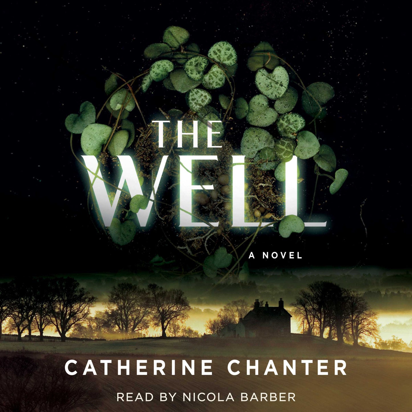 Well: A Novel