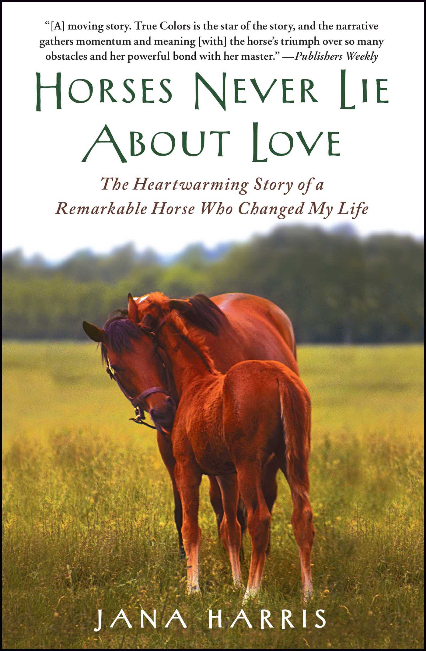 Horses Never Lie About Love