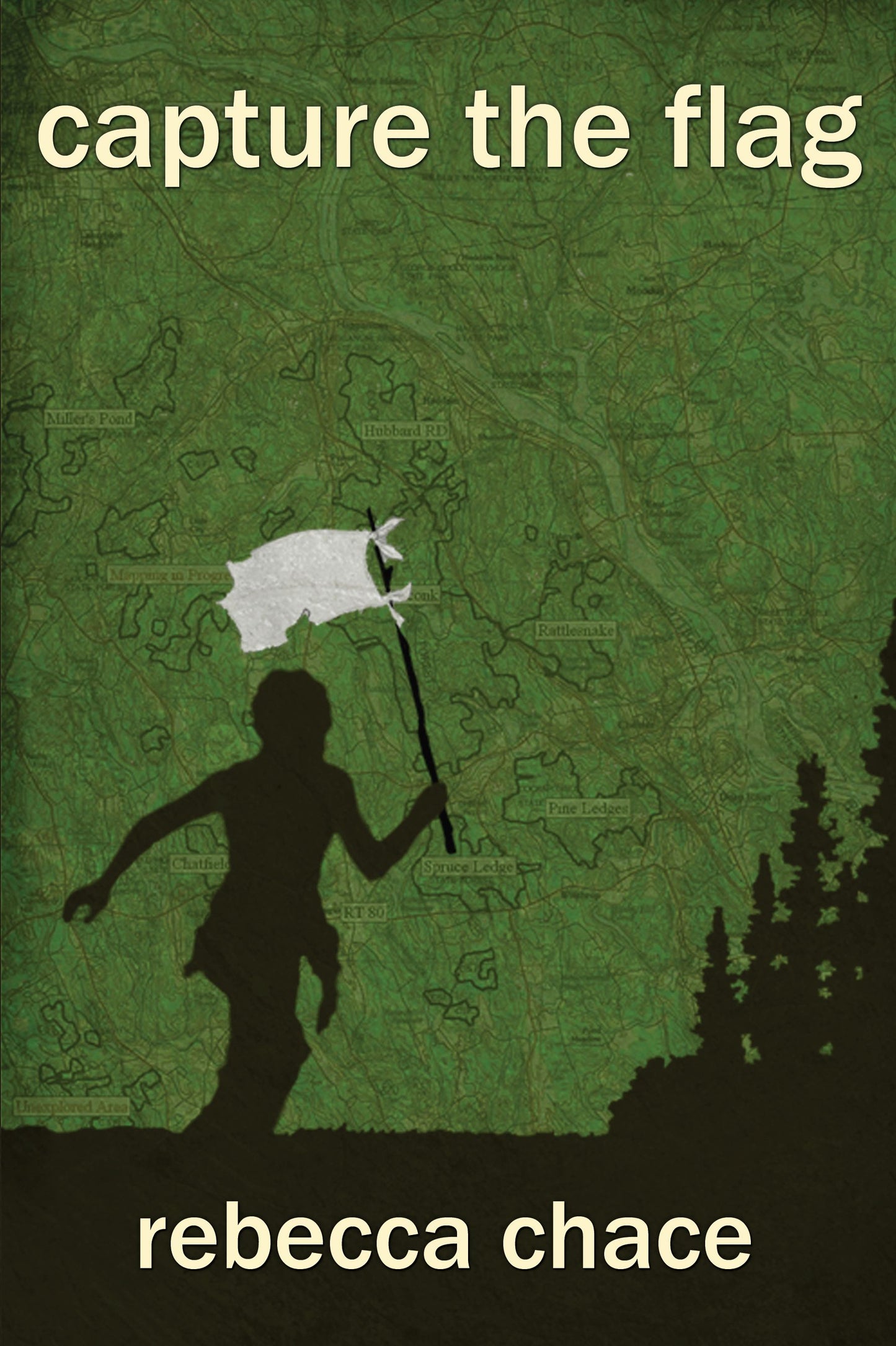 Capture the Flag