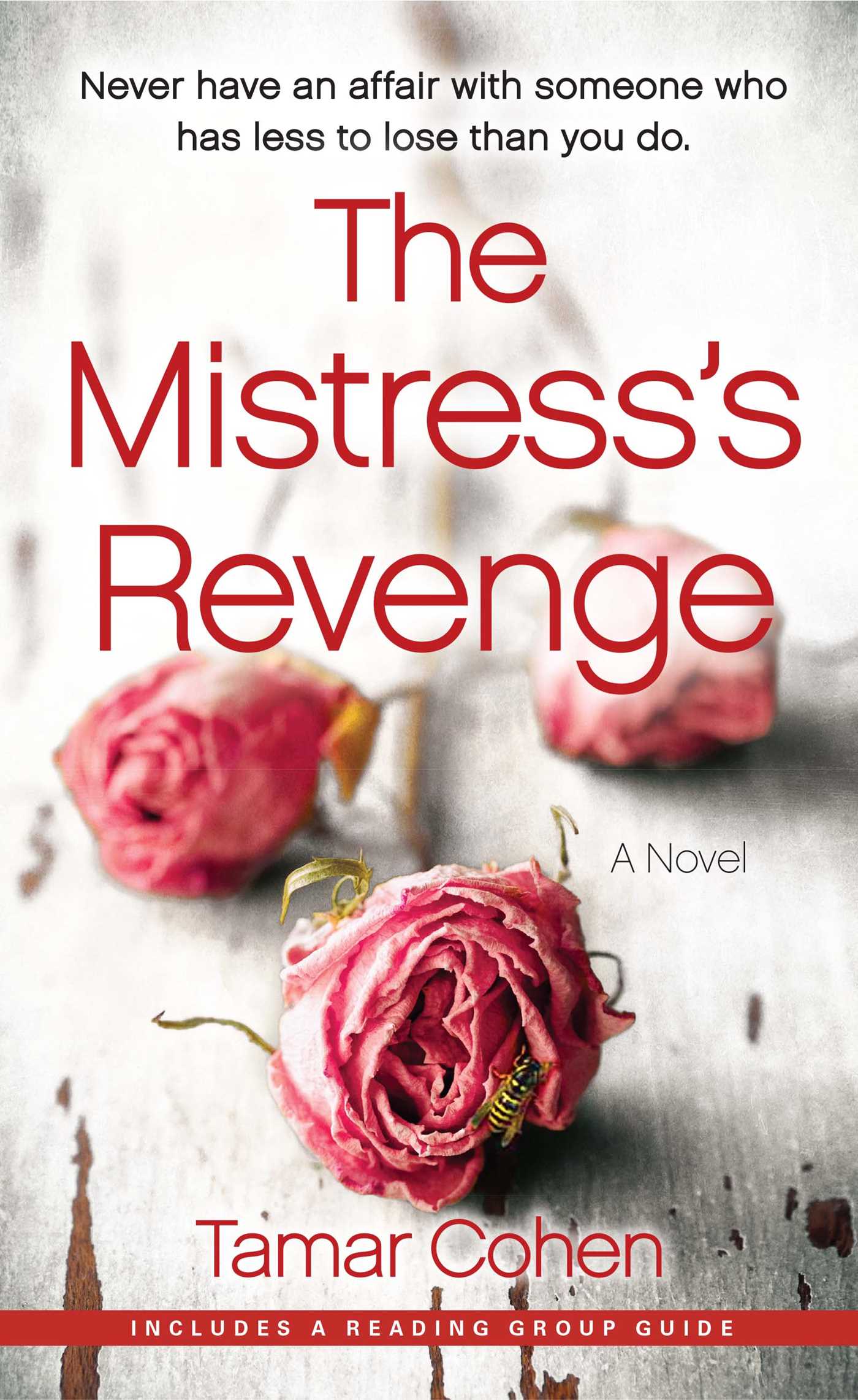 Mistress's Revenge: A Novel