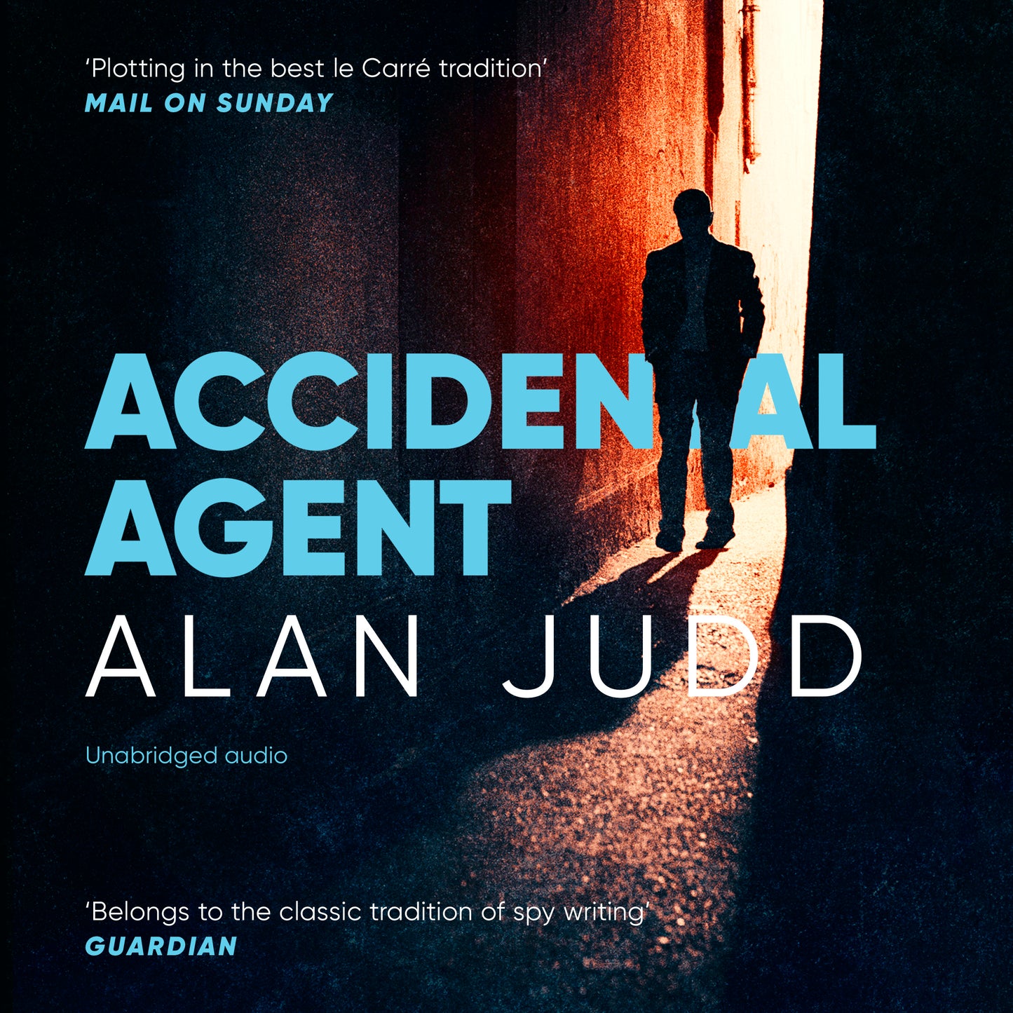 Accidental Agent