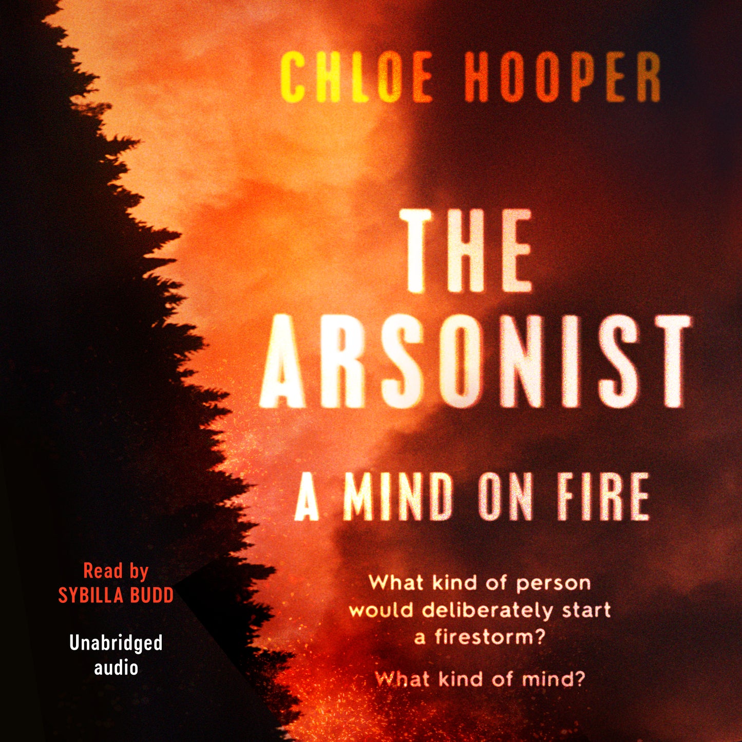 Arsonist