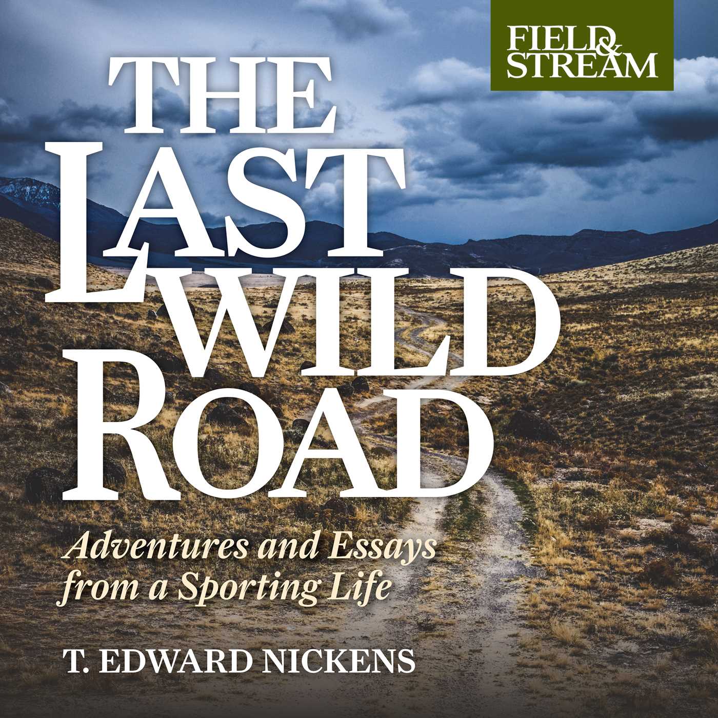 Last Wild Road