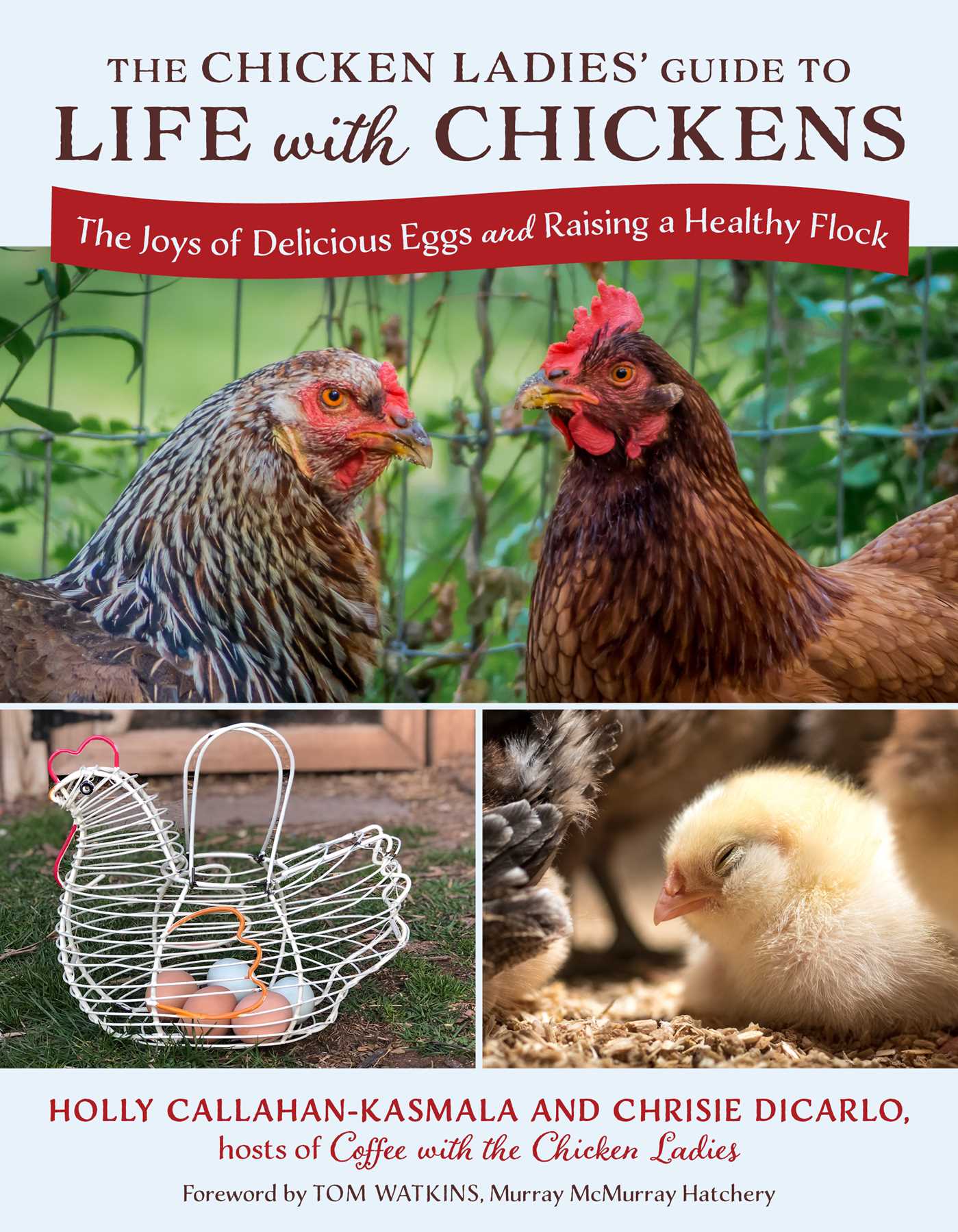 Chicken Ladies' Guide to Life with Chickens: The Joys of Delicious Eggs and Raising a Healthy Flock