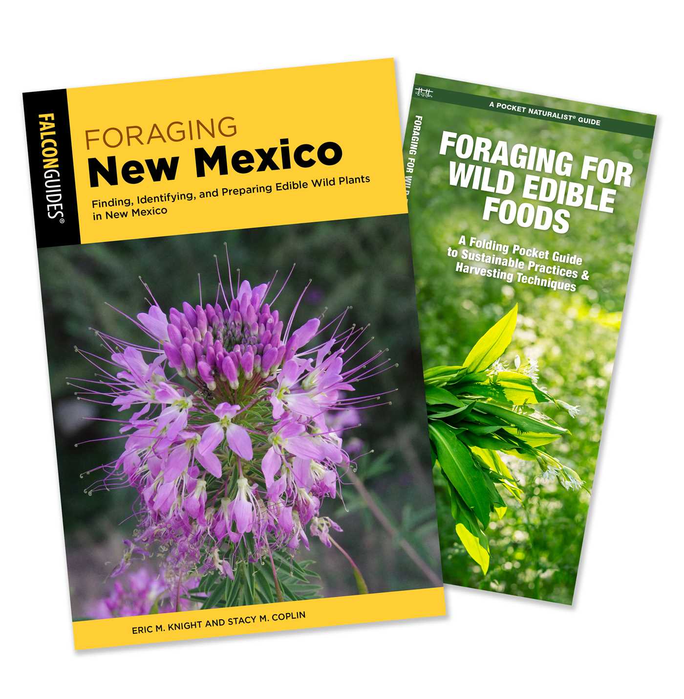 Foraging New Mexico Guidebook and Folding Pocket Guide Bundle
