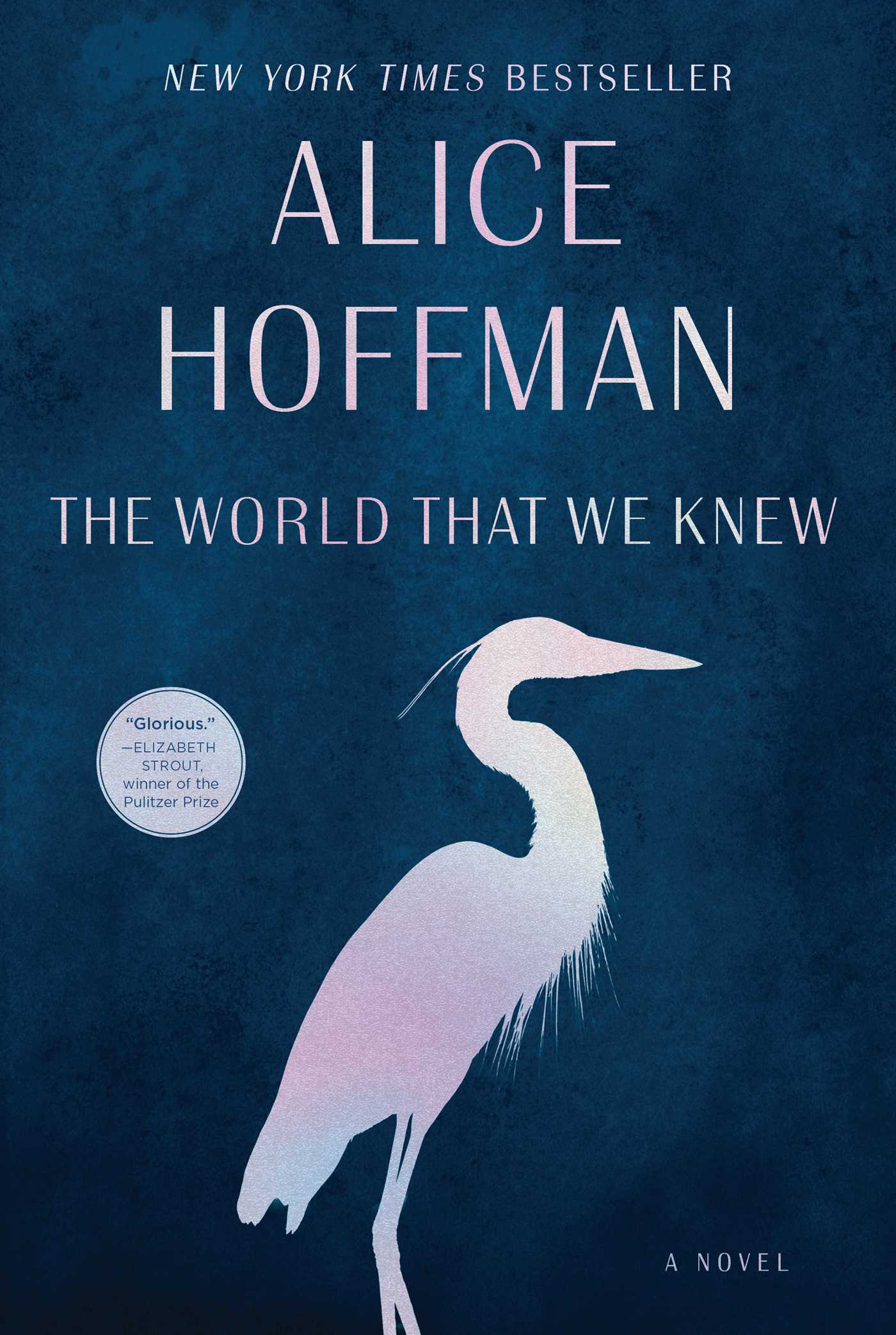 World That We Knew: A Novel