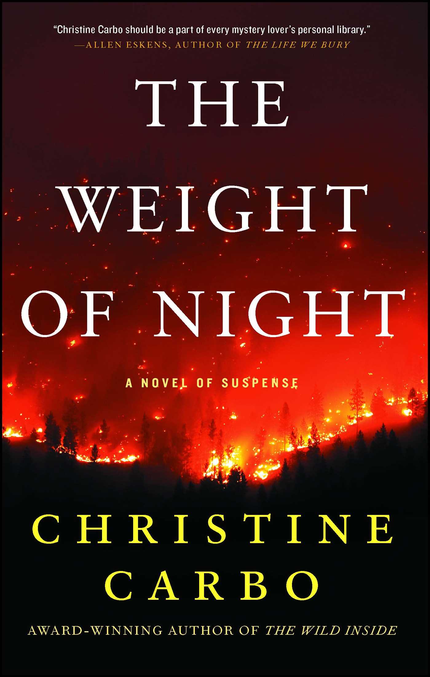 Weight of Night: A Novel of Suspense