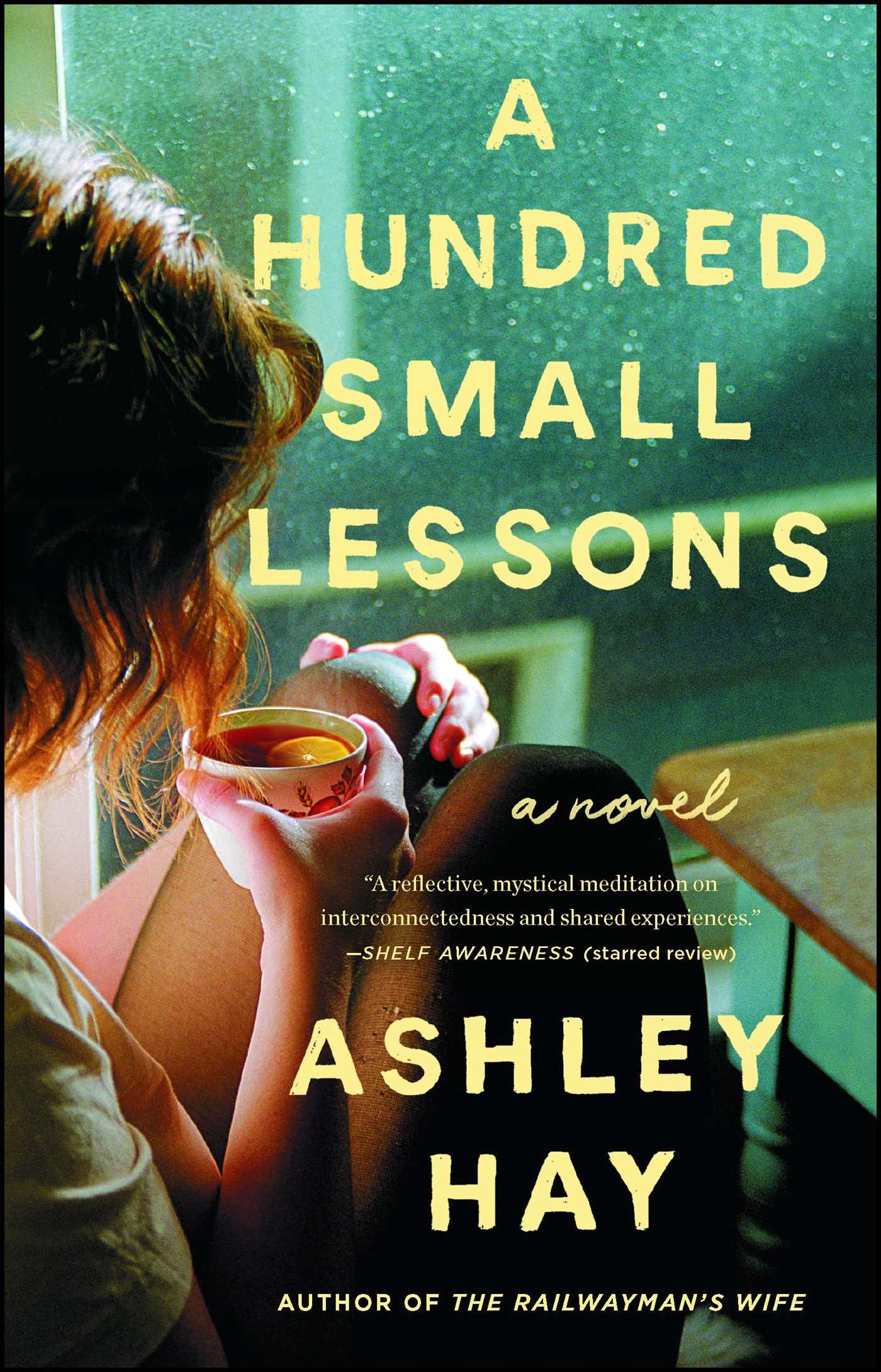 Hundred Small Lessons: A Novel