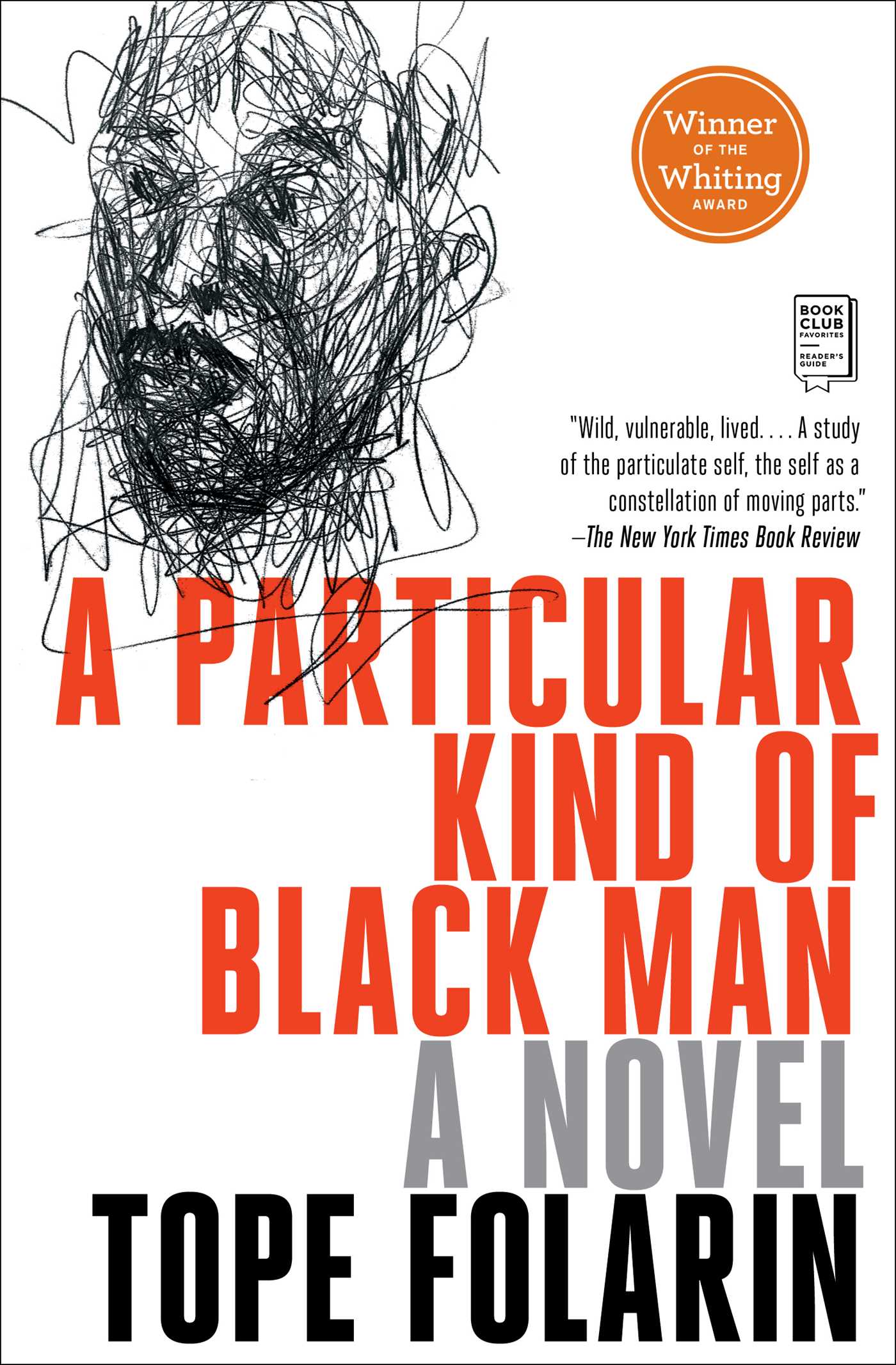 Particular Kind of Black Man: A Novel
