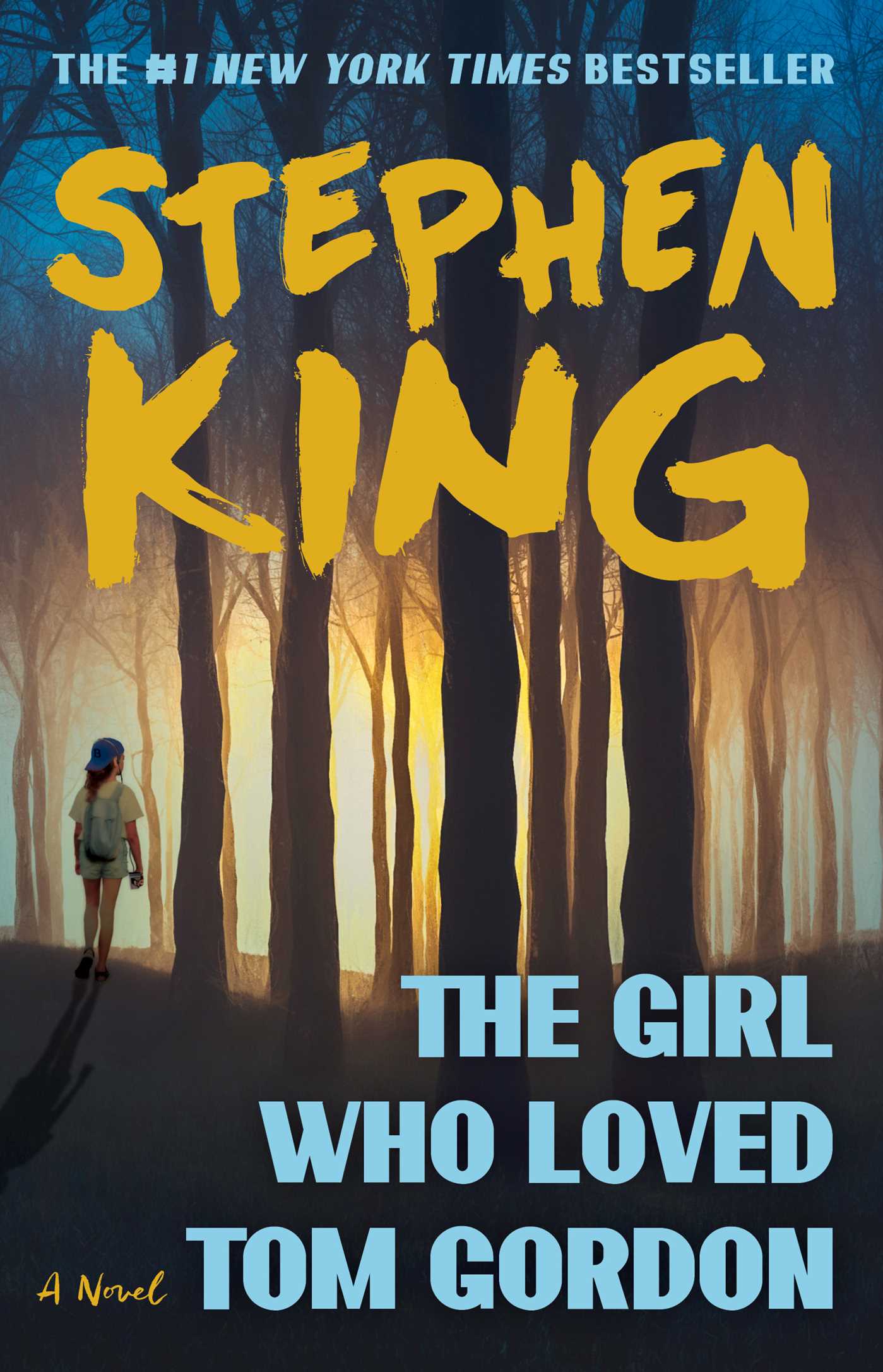 Girl Who Loved Tom Gordon: A Novel