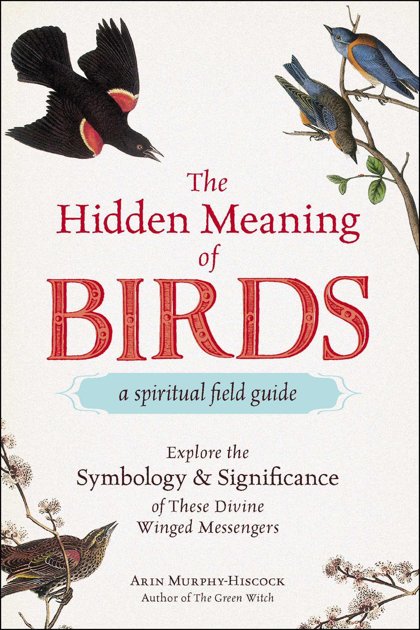 Hidden Meaning of Birds--A Spiritual Field Guide: Explore the Symbology and Significance of These Divine Winged Messengers