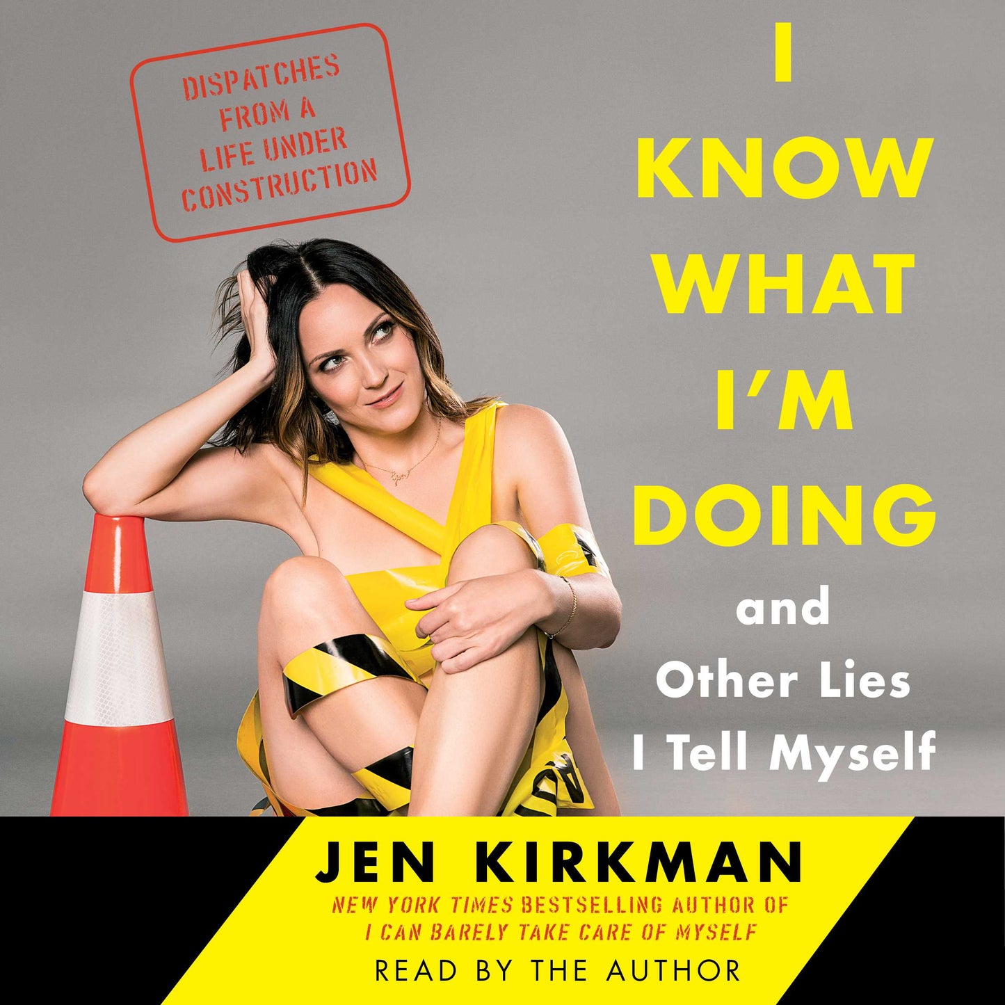 I Know What I'm Doing -- and Other Lies I Tell Myself