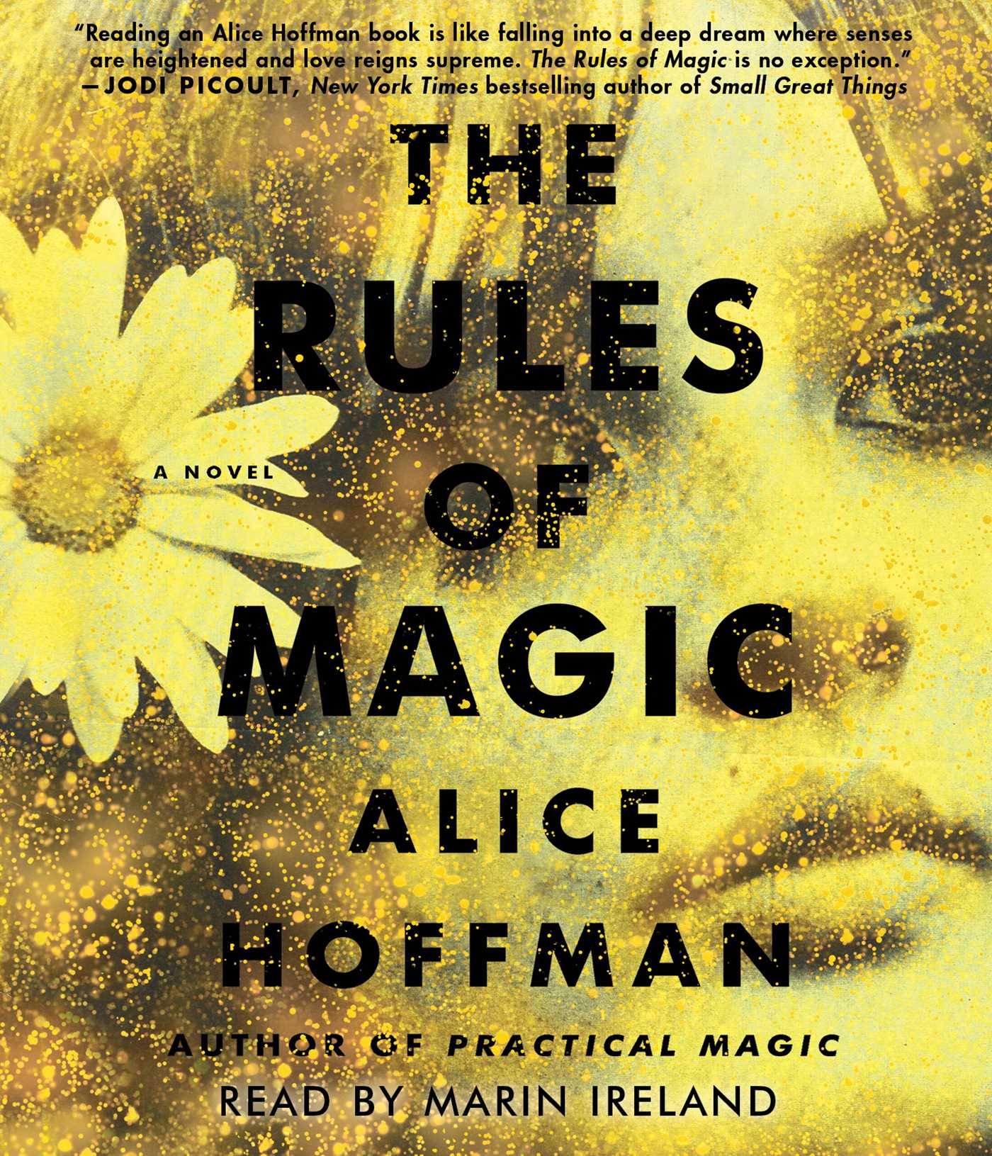 Rules of Magic: A Novel