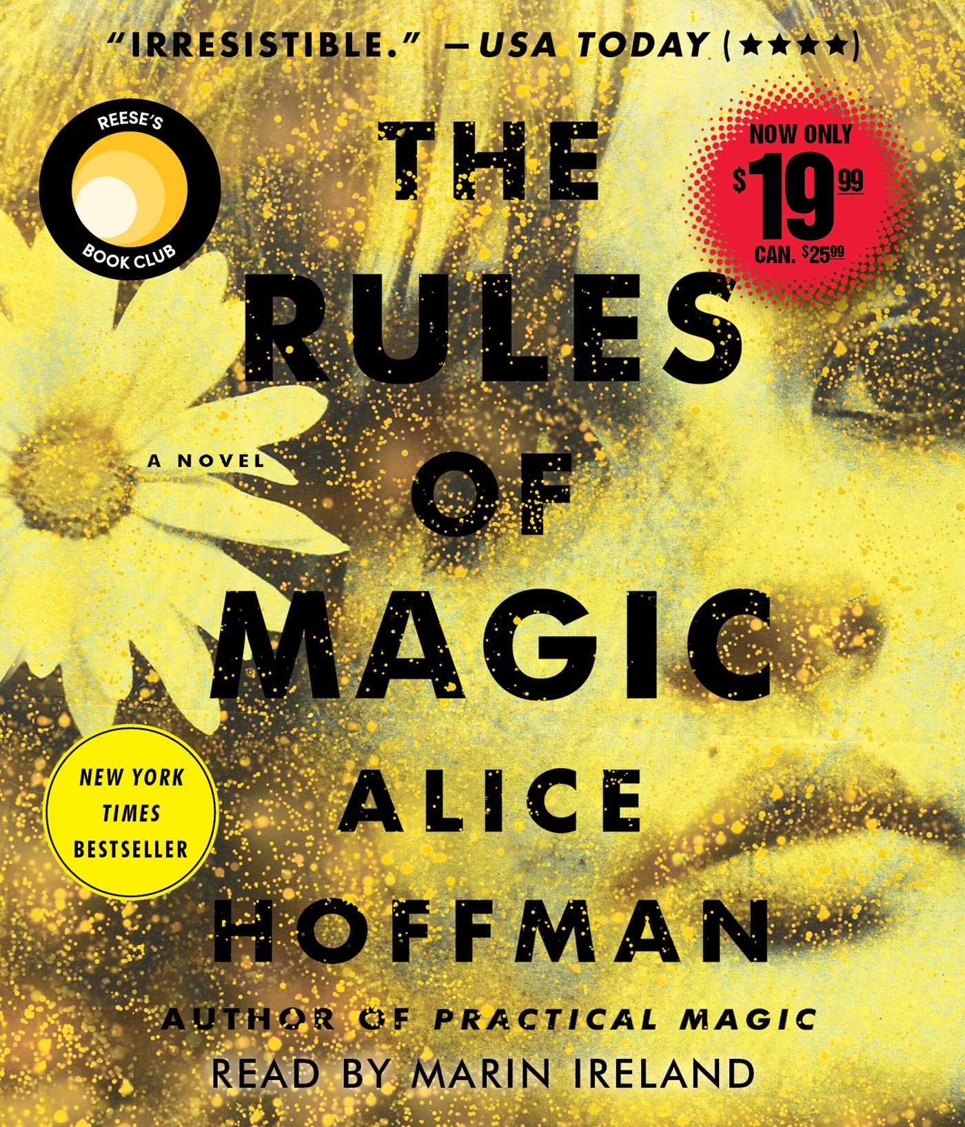 Rules of Magic: A Novel