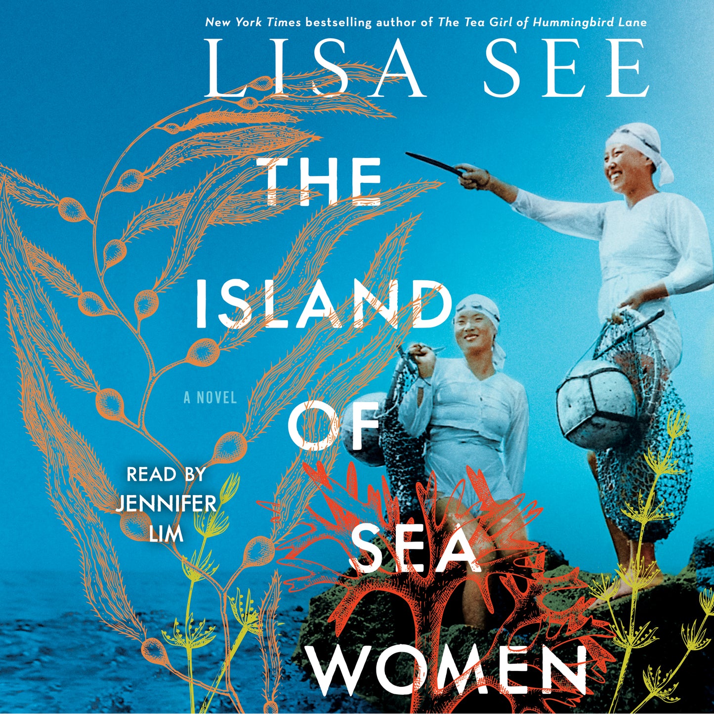 Island of Sea Women: A Novel