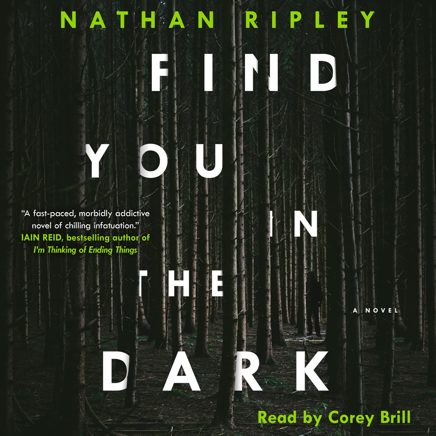 Find You in the Dark