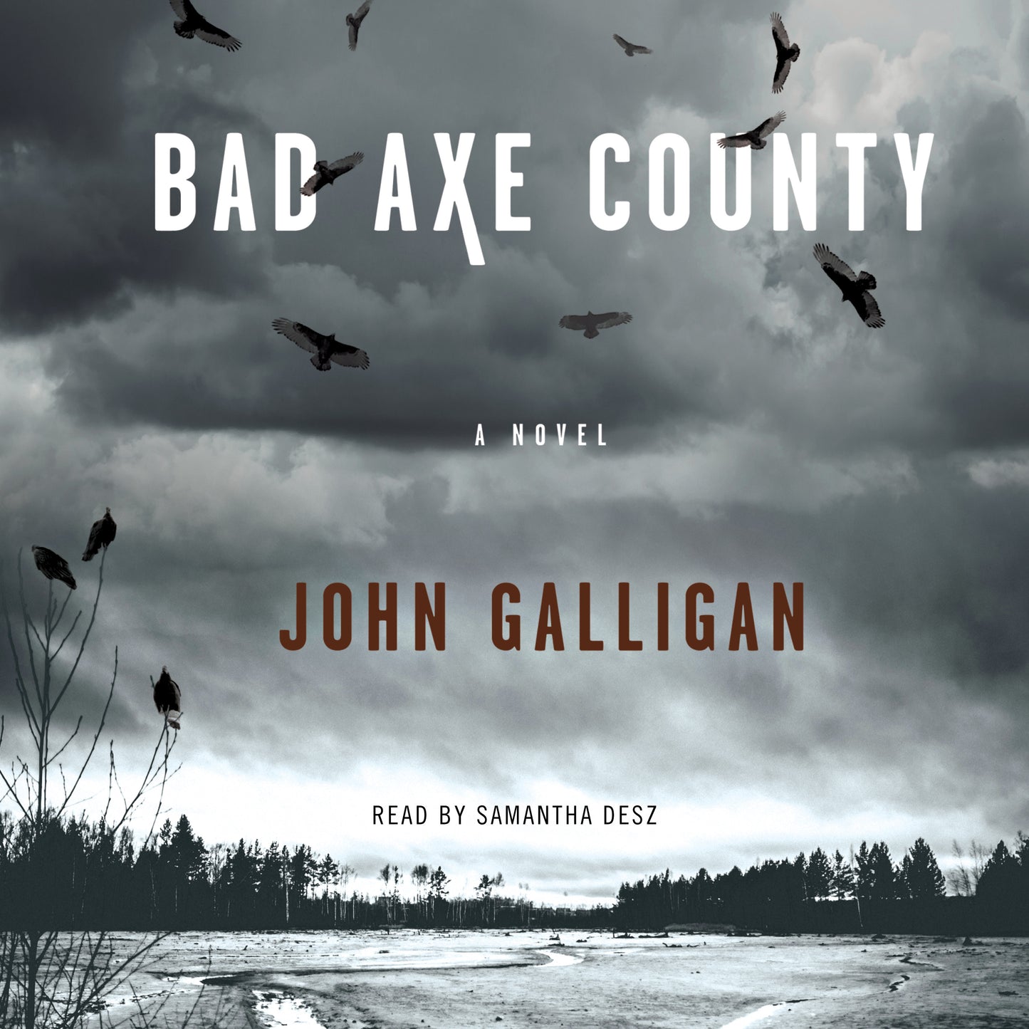 Bad Axe County