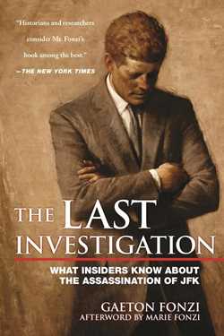 The Last Investigation