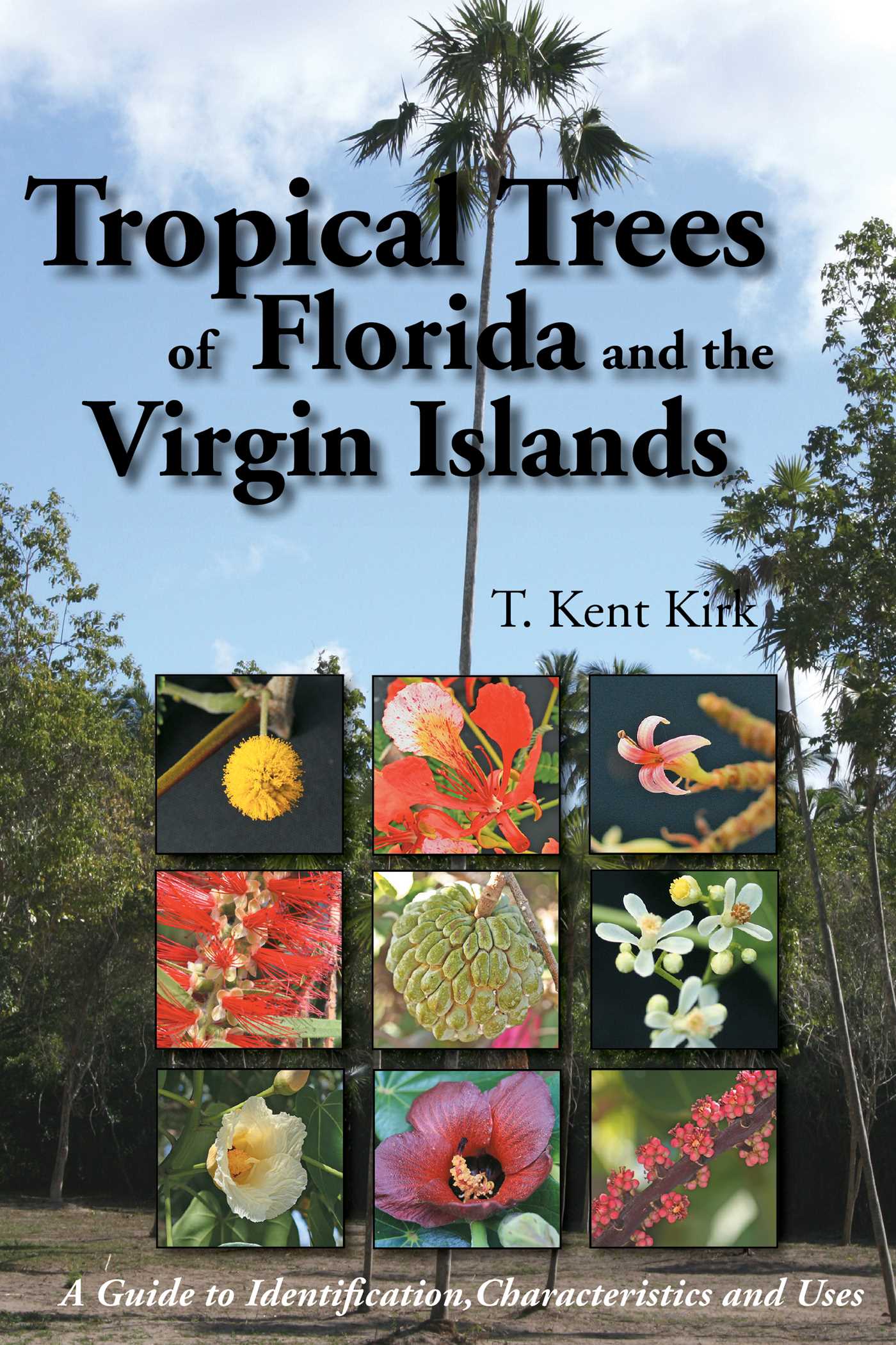 Tropical Trees of Florida and the Virgin Islands