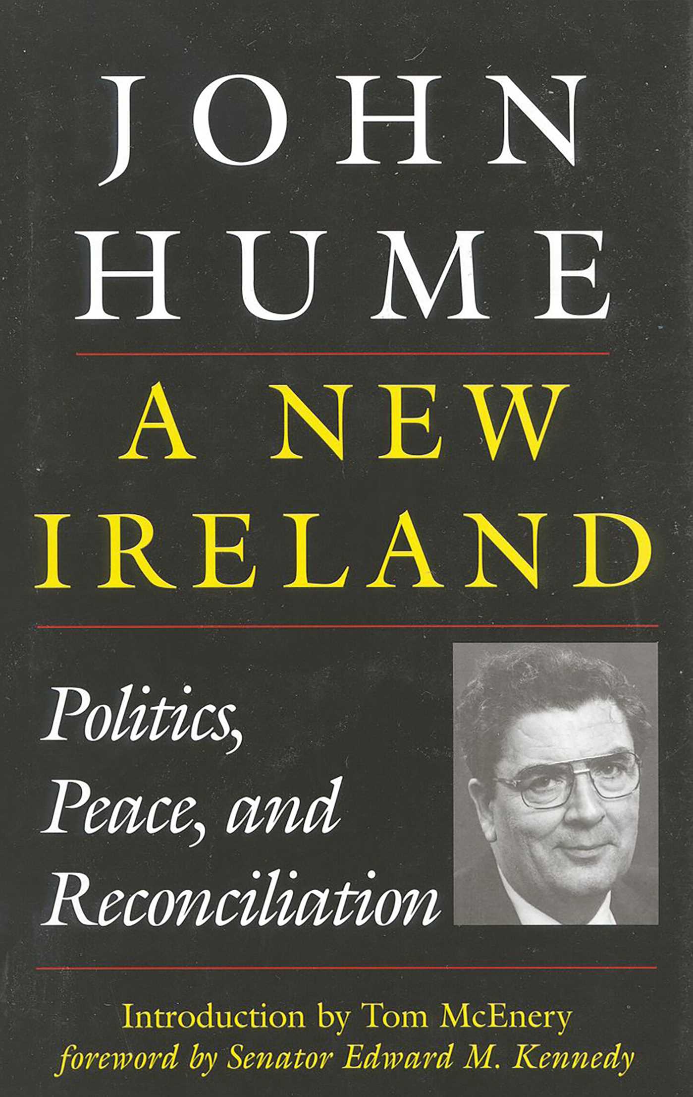 New Ireland: Politics, Peace, and Reconciliation