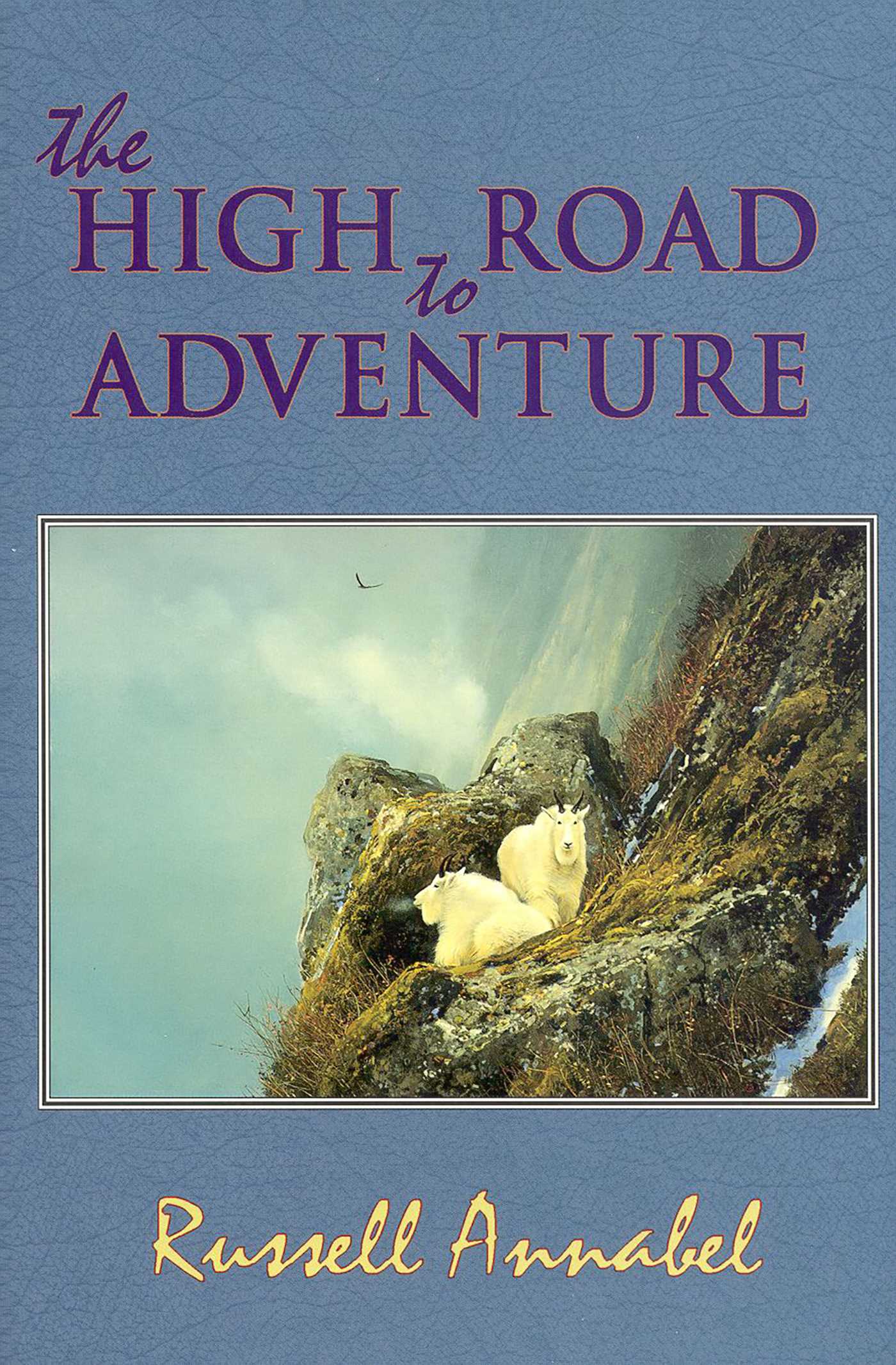 High Road to Adventure